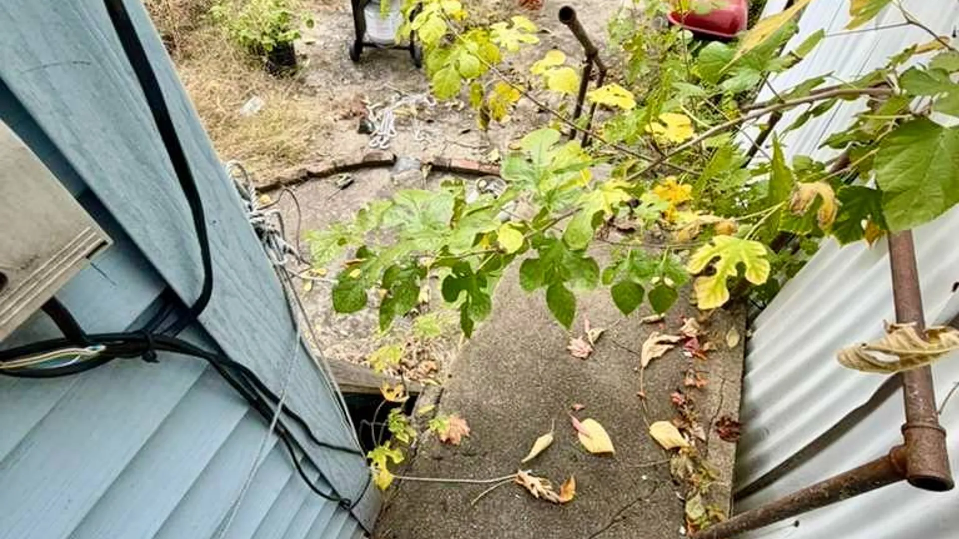 Property at 406 Chestnut St, Brooklyn, NY 11208 28