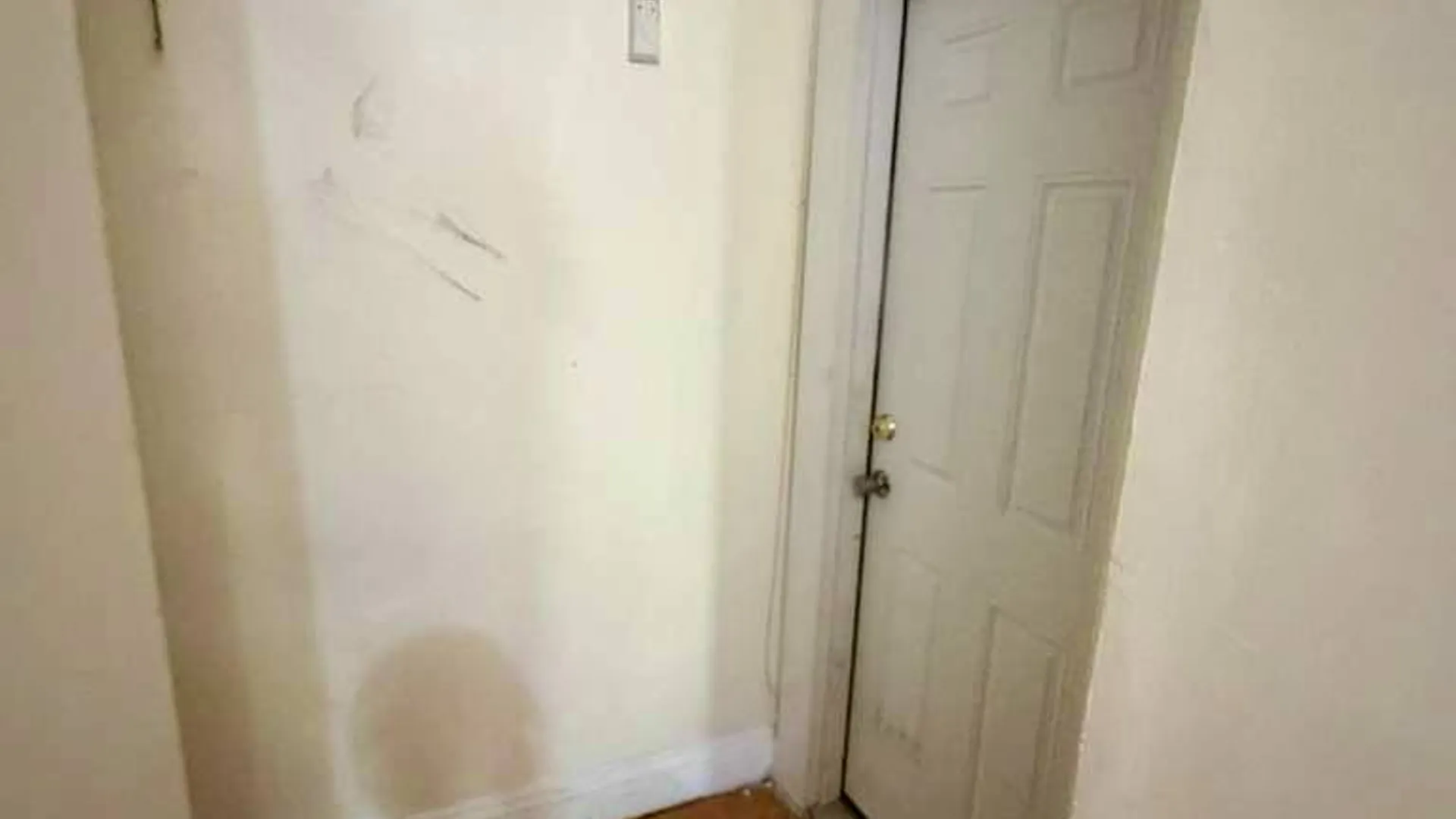 Property at 406 Chestnut St, Brooklyn, NY 11208 8