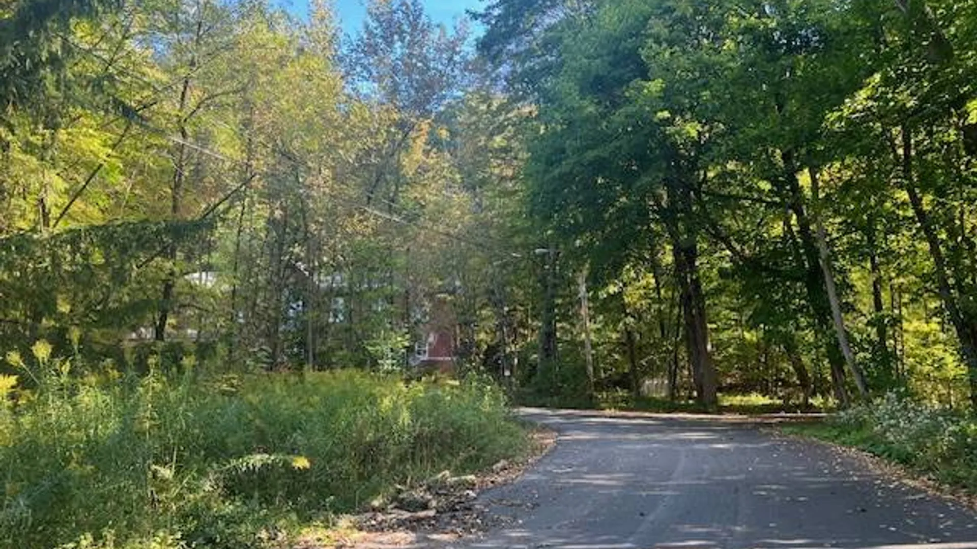 Property at 12 Poplar street, Dolgeville, NY 13329 13