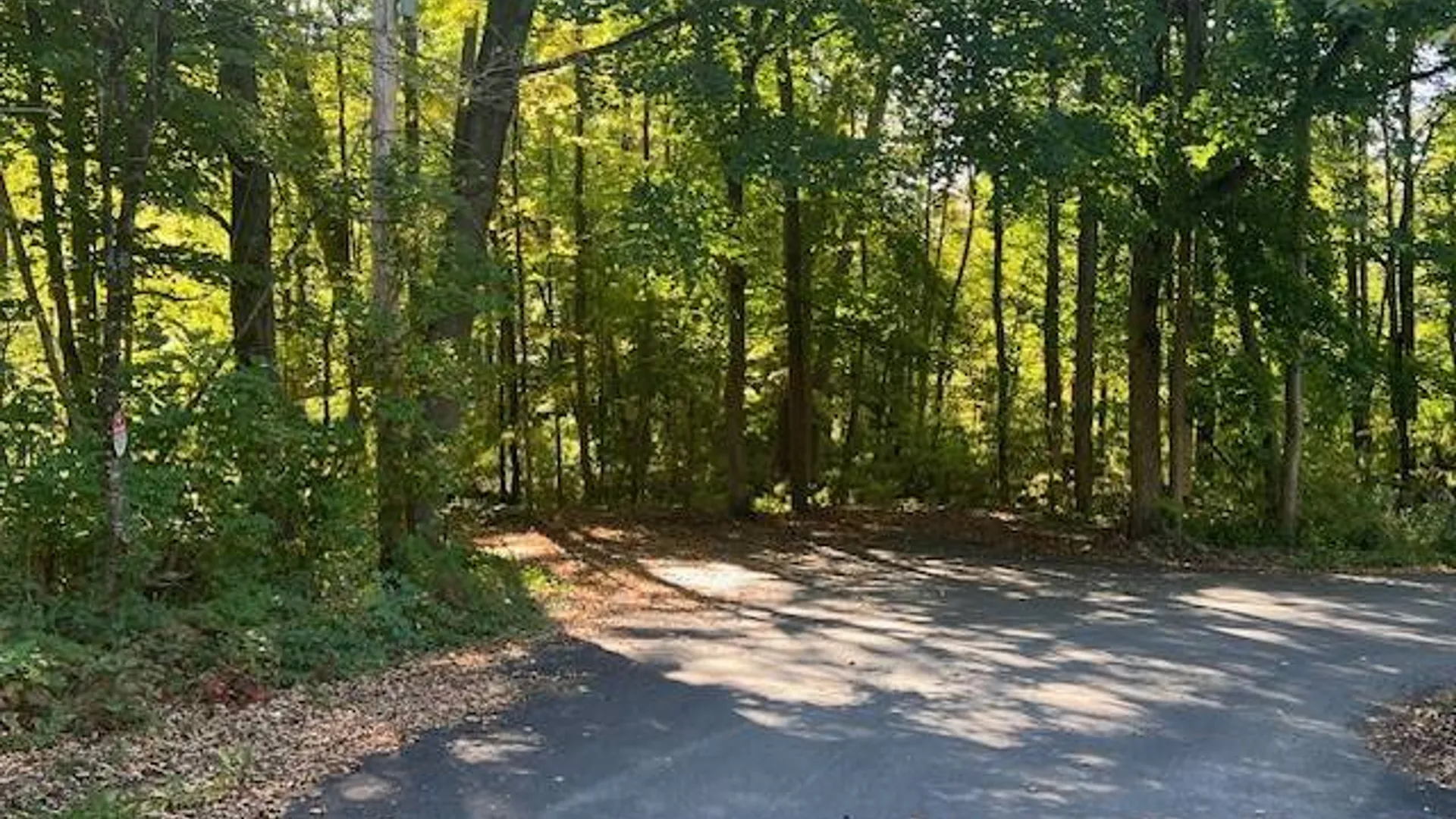 Property at 12 Poplar street, Dolgeville, NY 13329 29