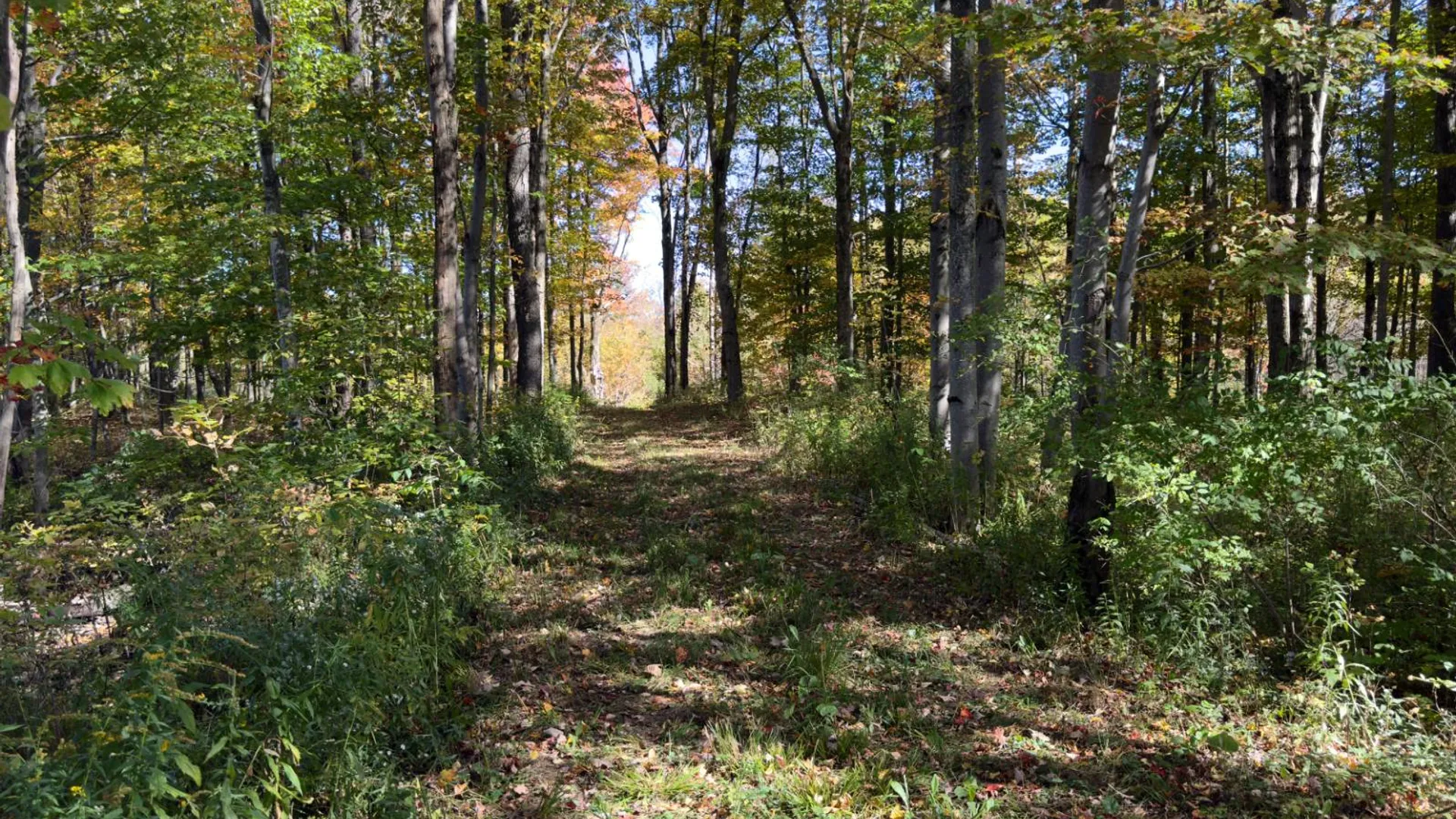Property at 2979 Leach Rd, Eaton, NY 13334 9