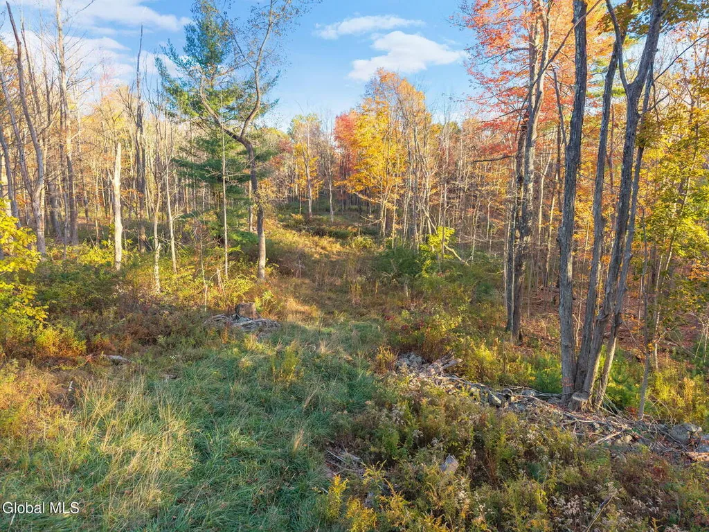 Property at 138 Old Road, Grafton, NY 12052