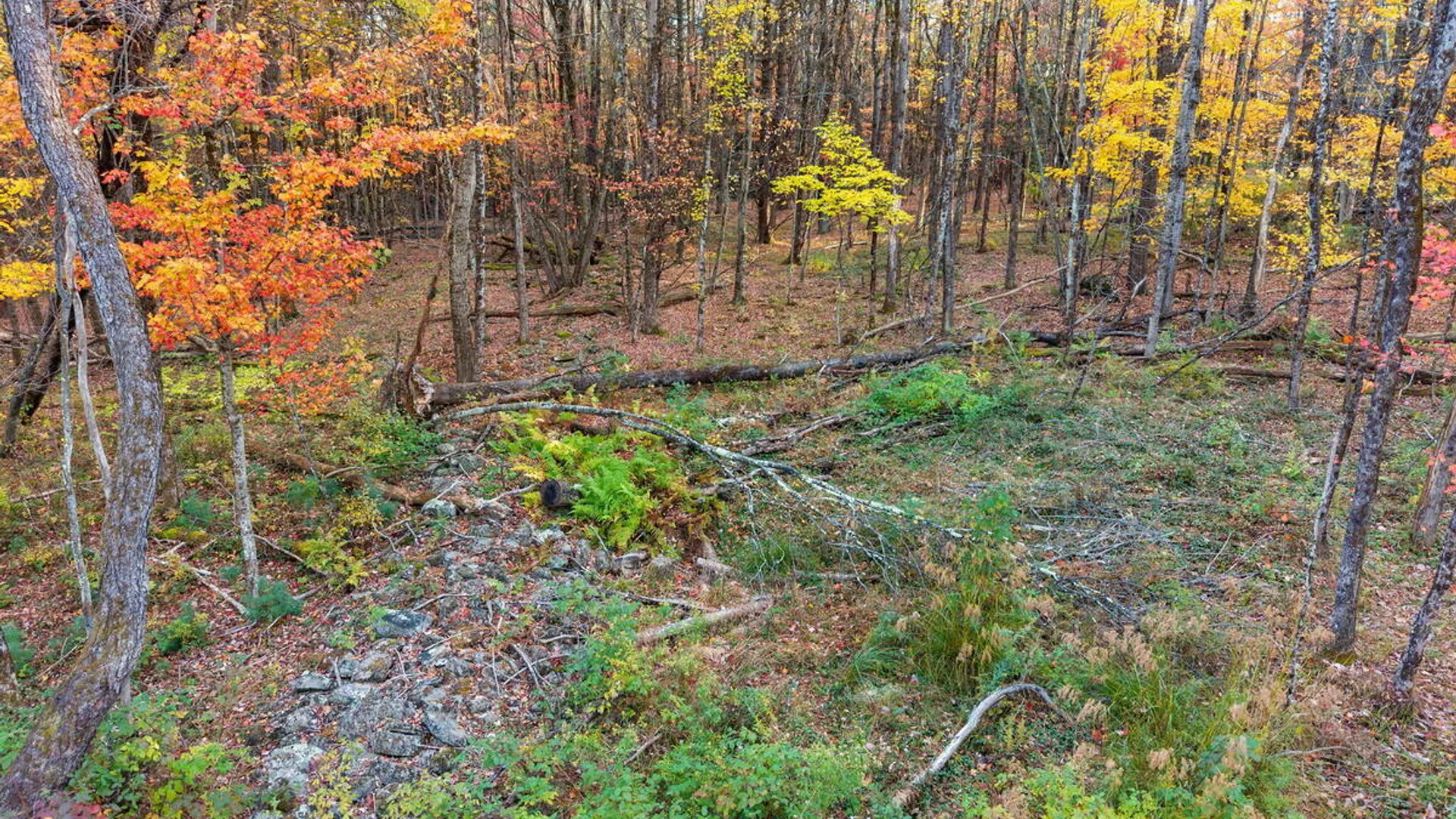 Property at 138 Old Road, Grafton, NY 12052 7
