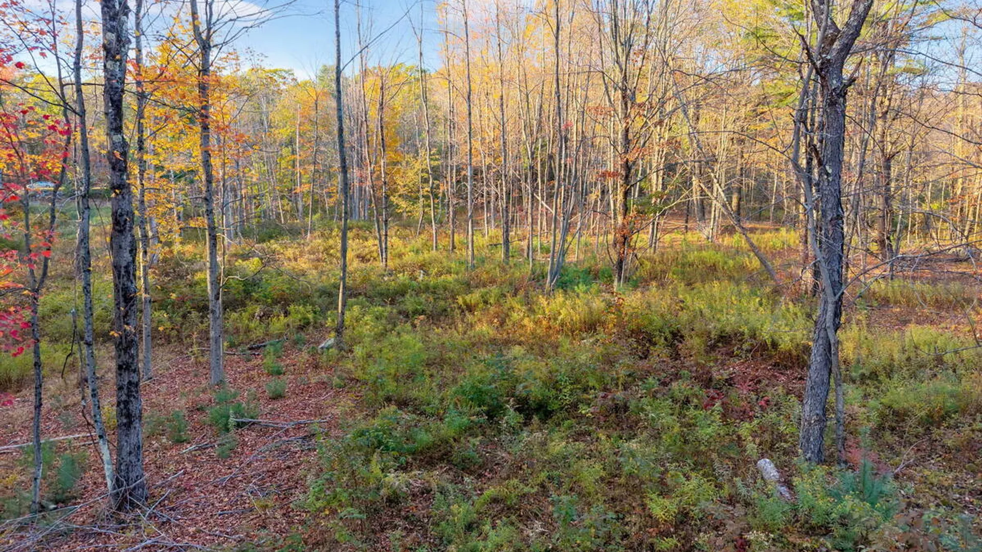 Property at 138 Old Road, Grafton, NY 12052 11
