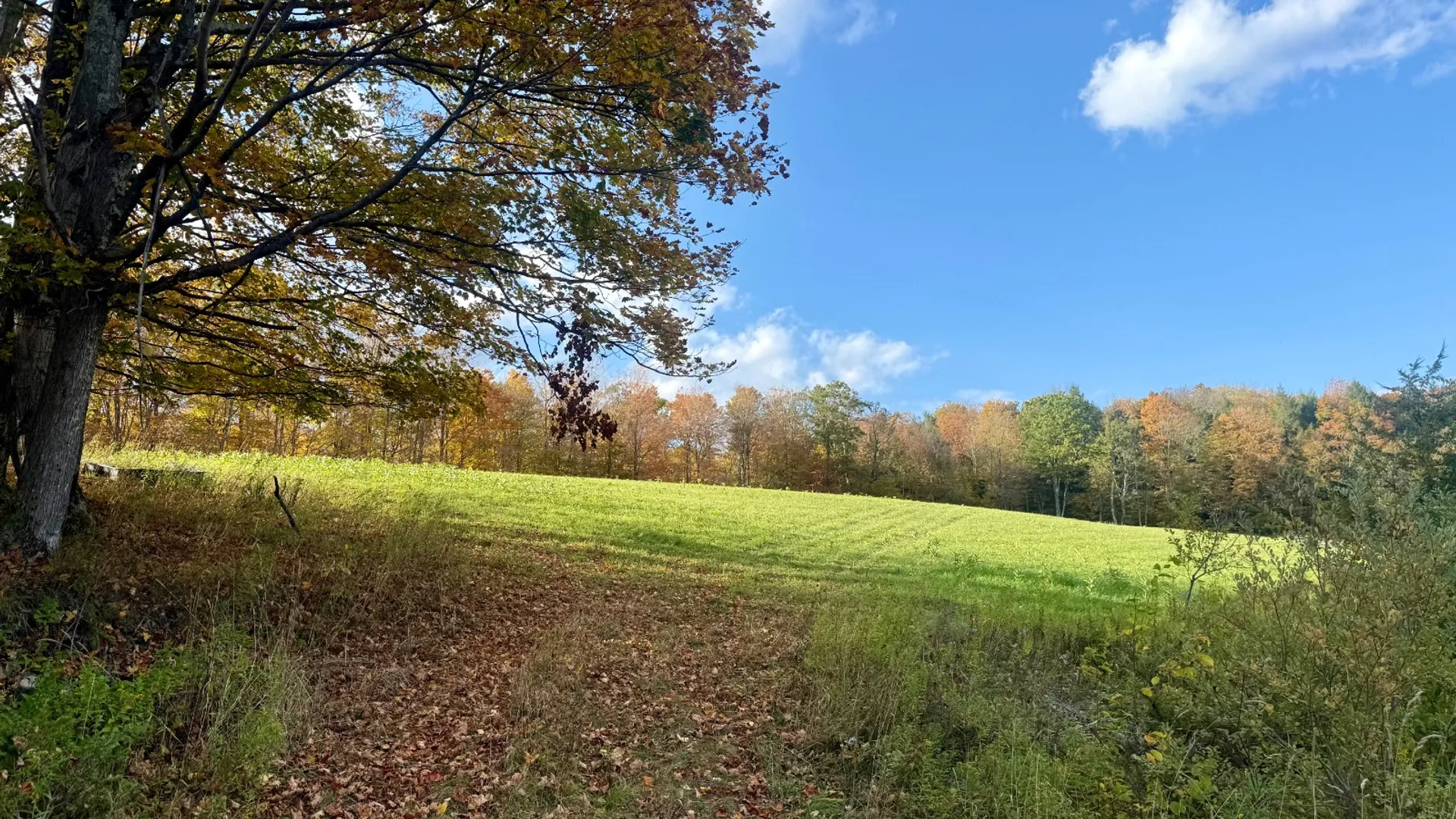 Property at 0 Bruce Cross Rd, Lexington, NY 12468 5