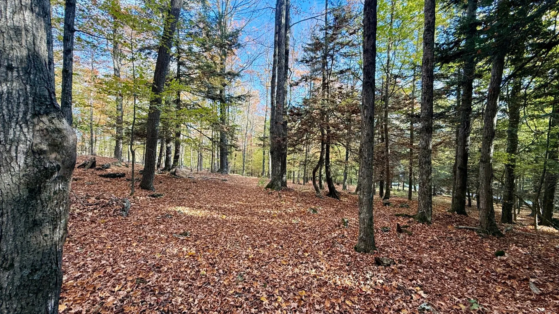 Property at 0 Bruce Cross Rd, Lexington, NY 12468 26