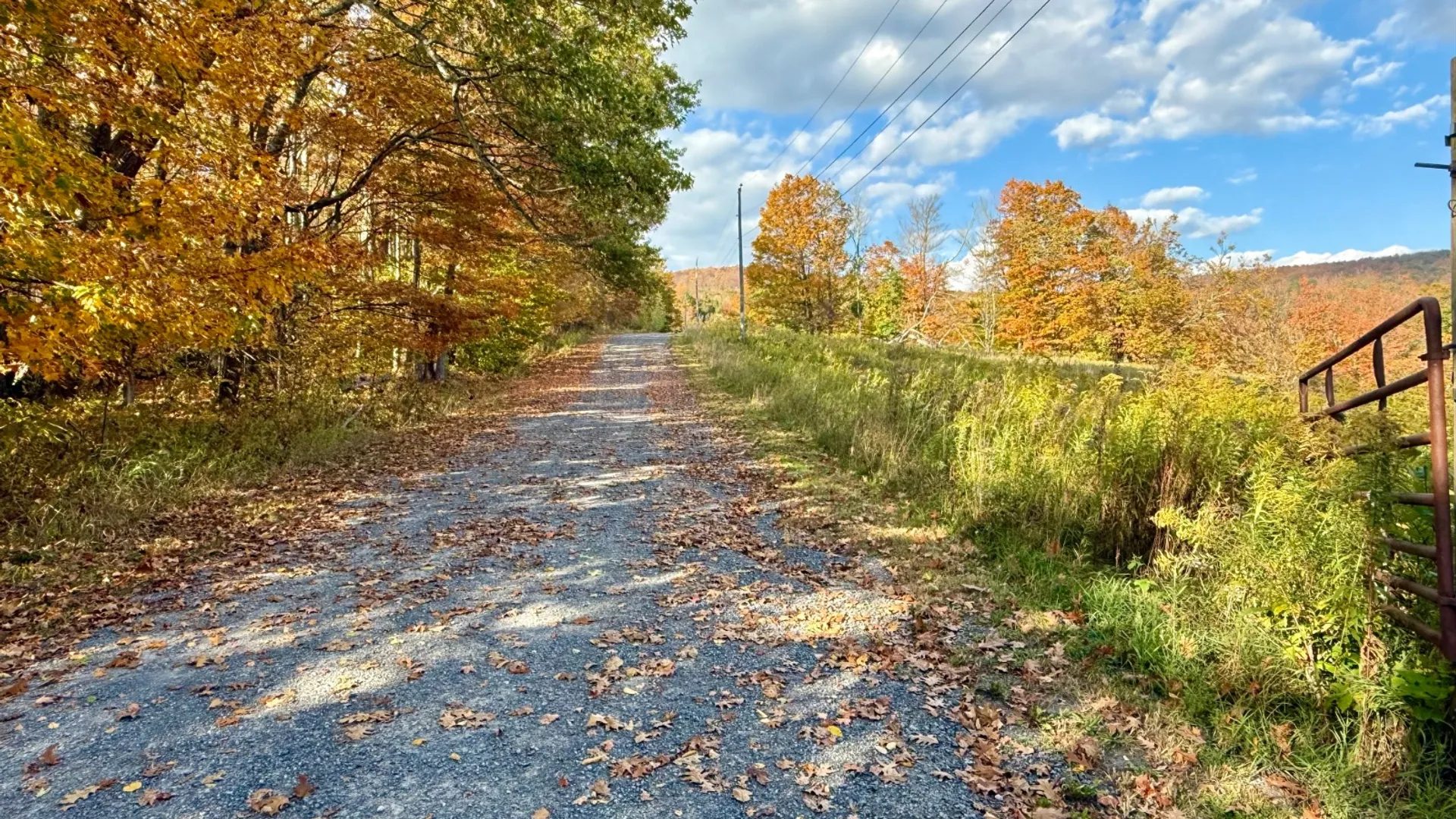 Property at 0 Bruce Cross Rd, Lexington, NY 12468 20