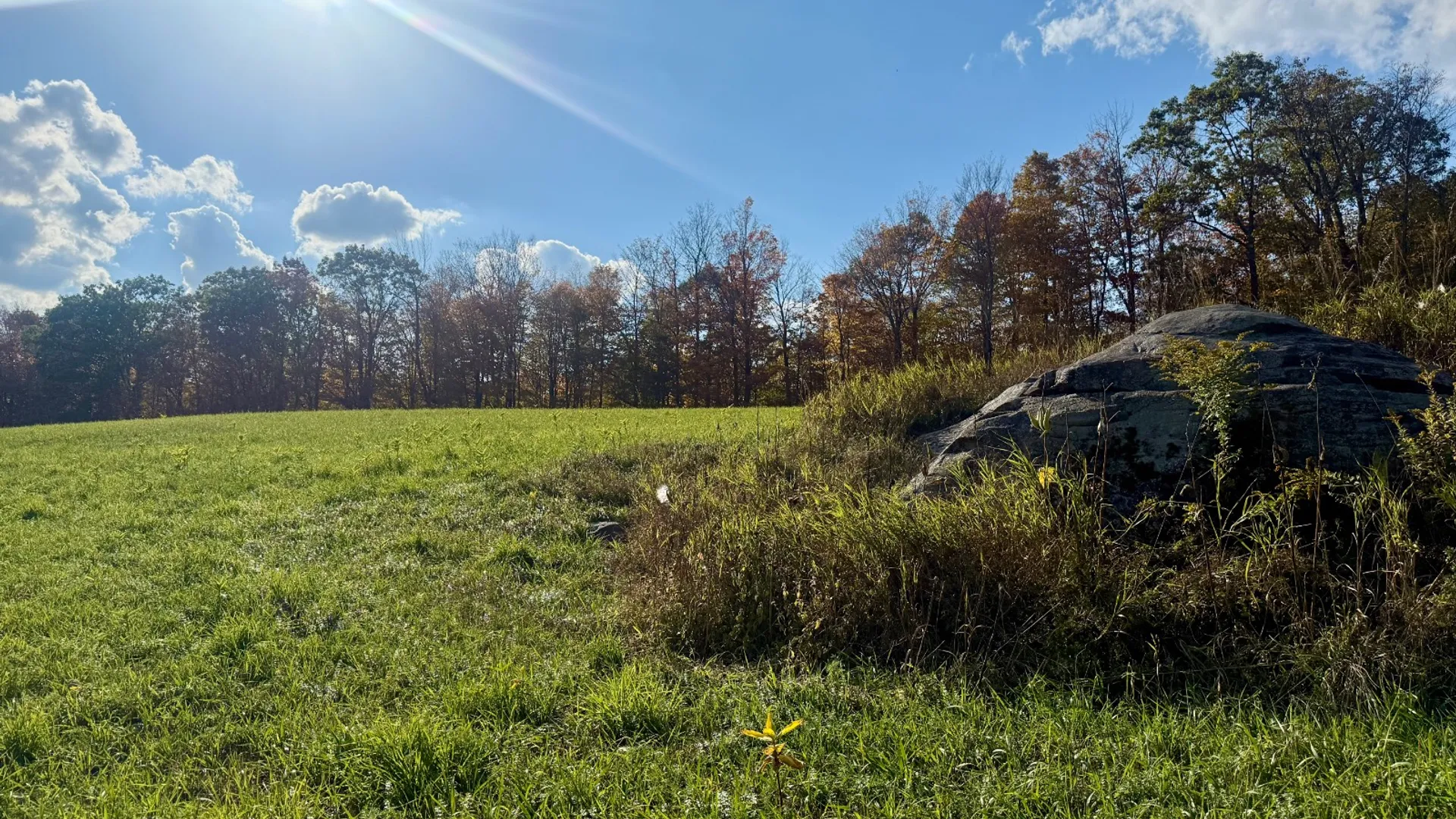 Property at 0 Bruce Cross Rd, Lexington, NY 12468 37