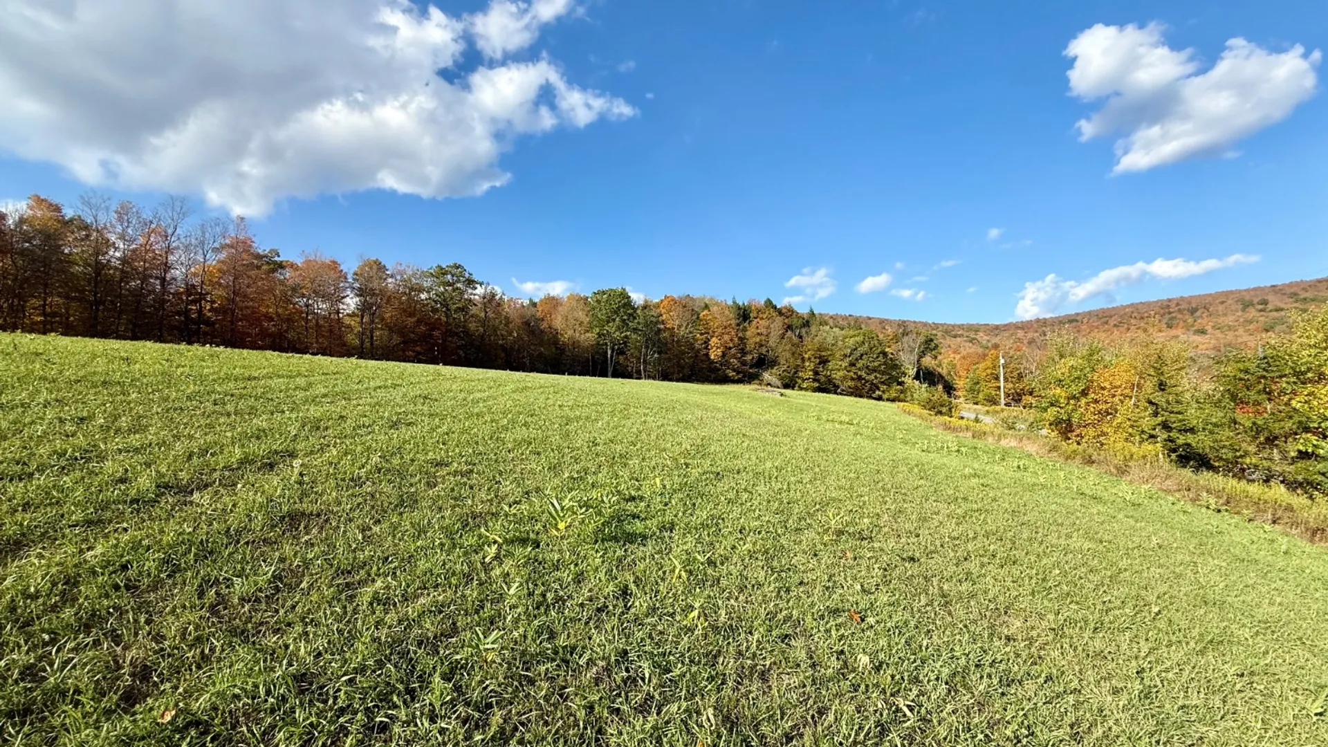 Property at 0 Bruce Cross Rd, Lexington, NY 12468 16