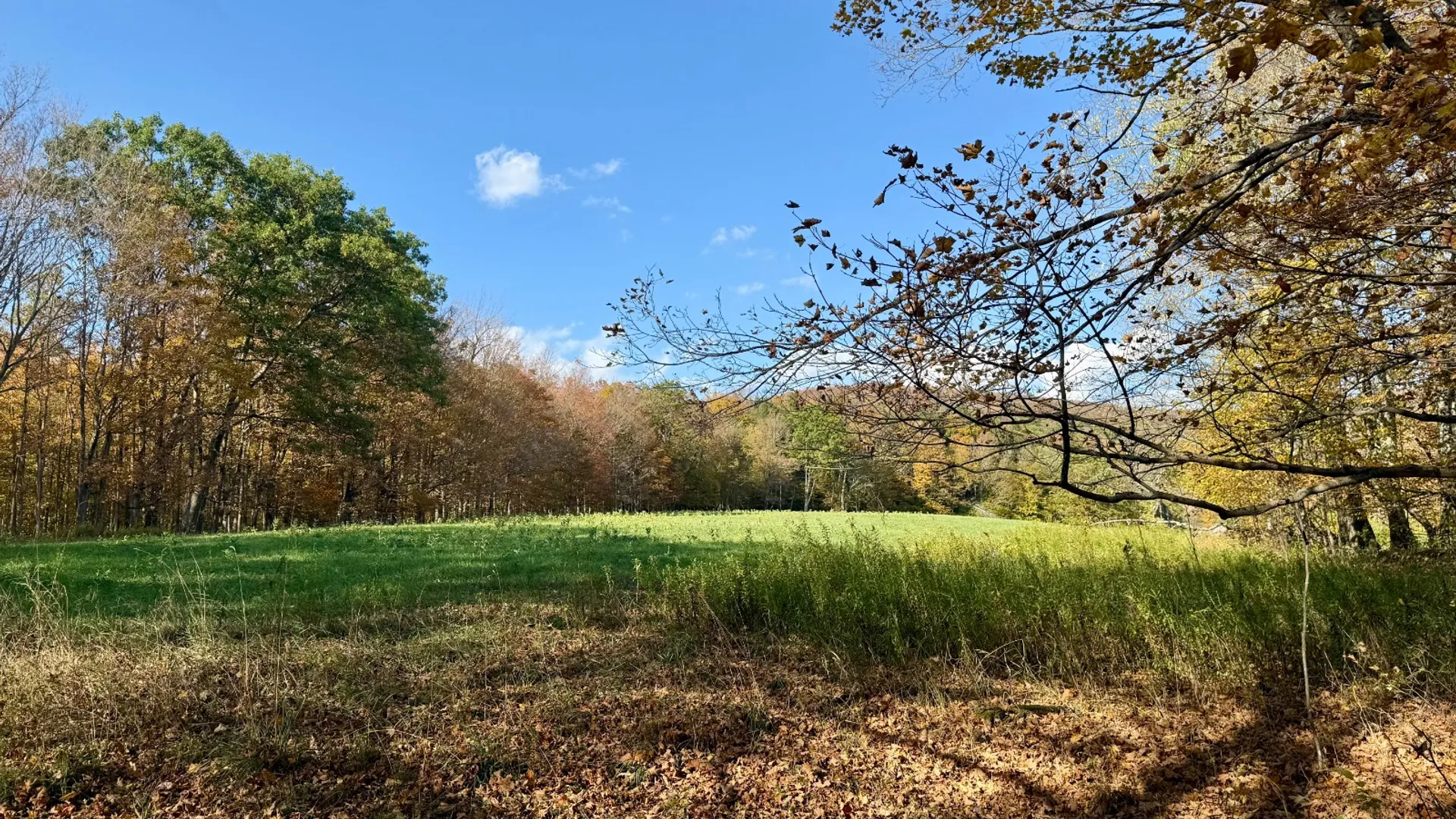 Property at 0 Bruce Cross Rd, Lexington, NY 12468 36