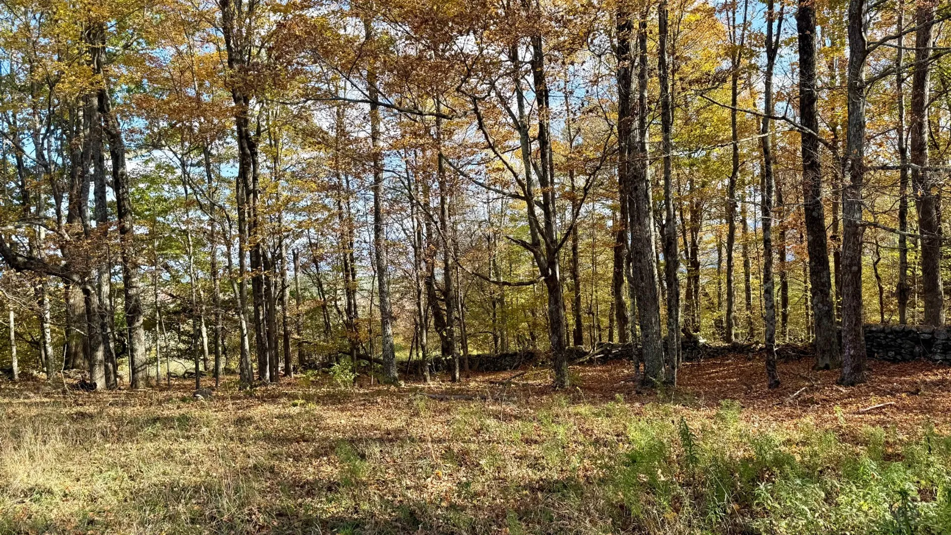 Property at 0 Bruce Cross Rd, Lexington, NY 12468 35