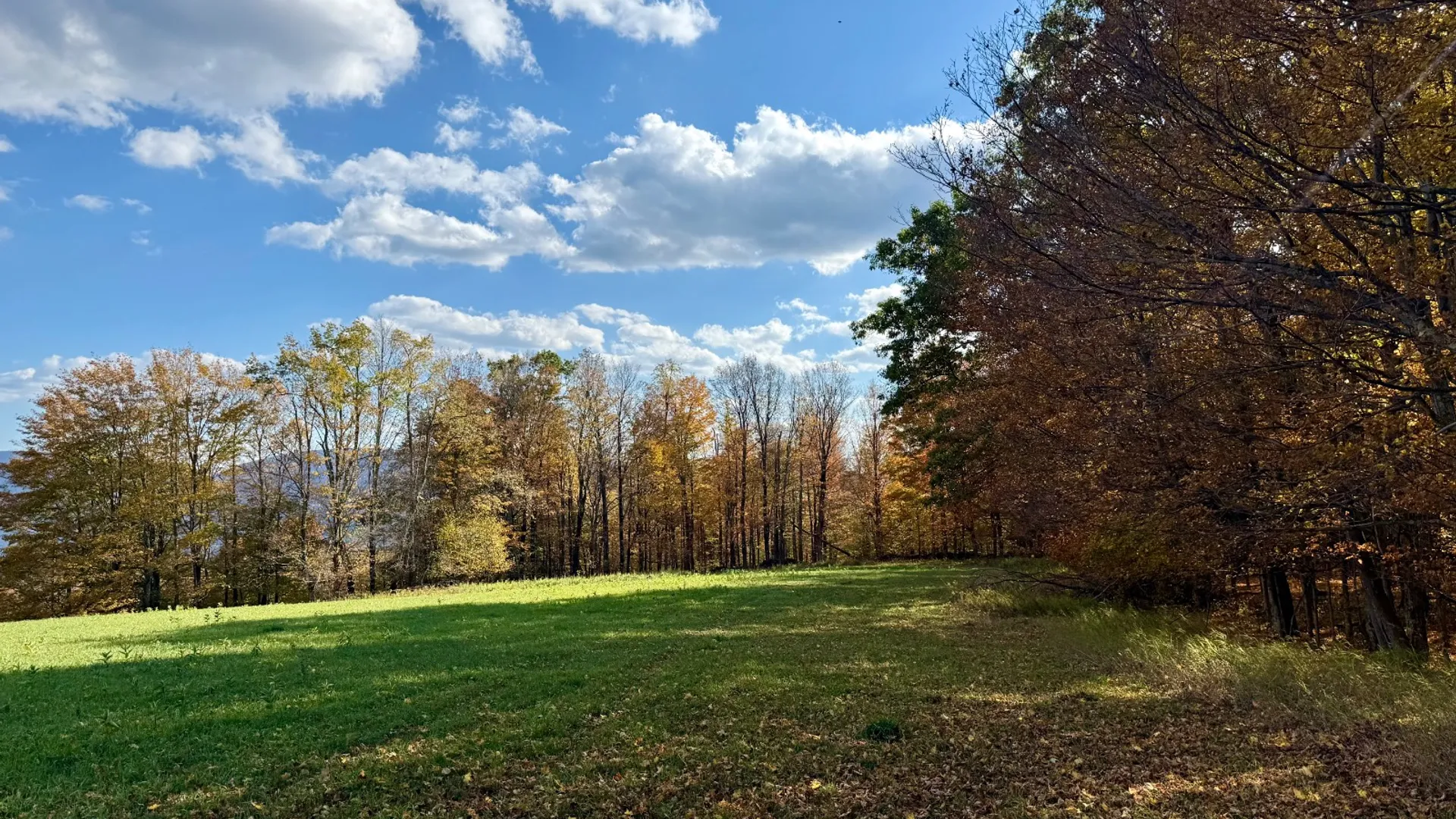 Property at 0 Bruce Cross Rd, Lexington, NY 12468 34