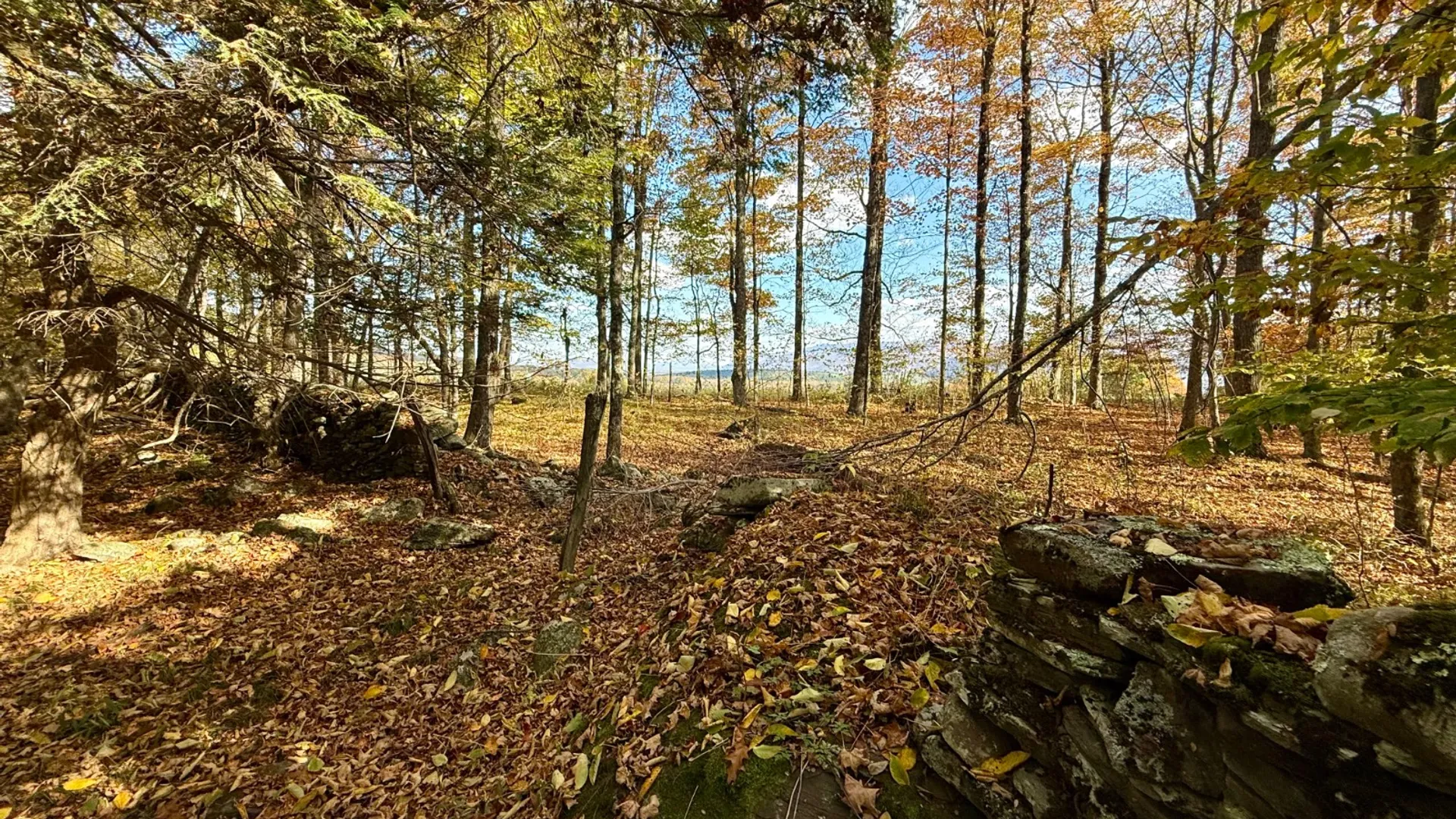 Property at 0 Bruce Cross Rd, Lexington, NY 12468 31