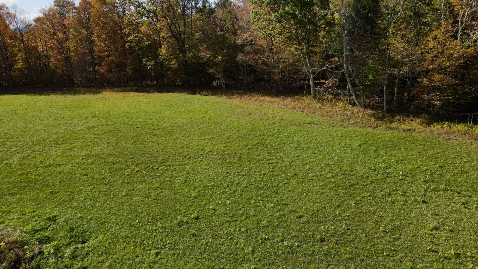 Property at 0 Bruce Cross Rd, Lexington, NY 12468 49