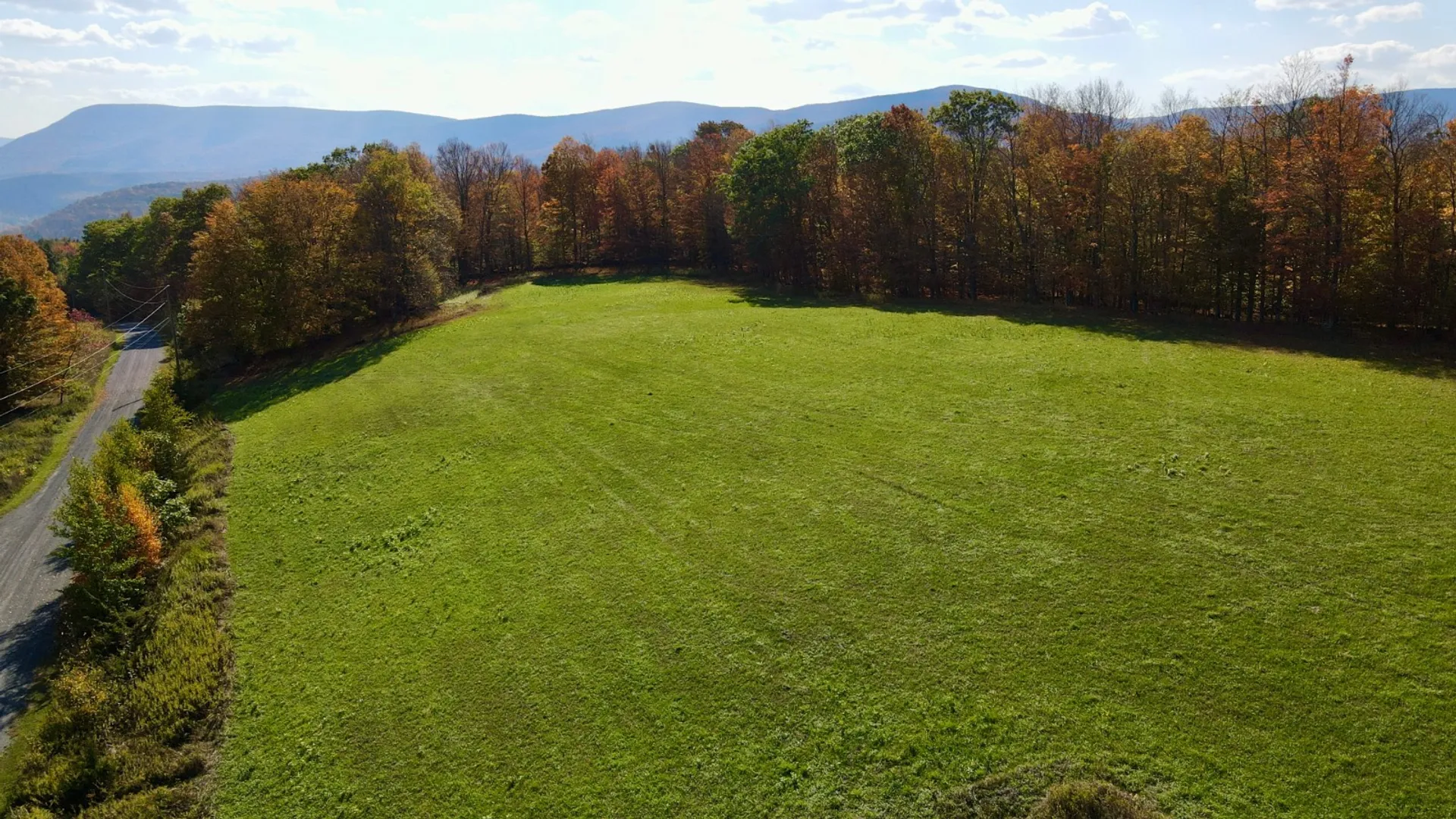 Property at 0 Bruce Cross Rd, Lexington, NY 12468 50
