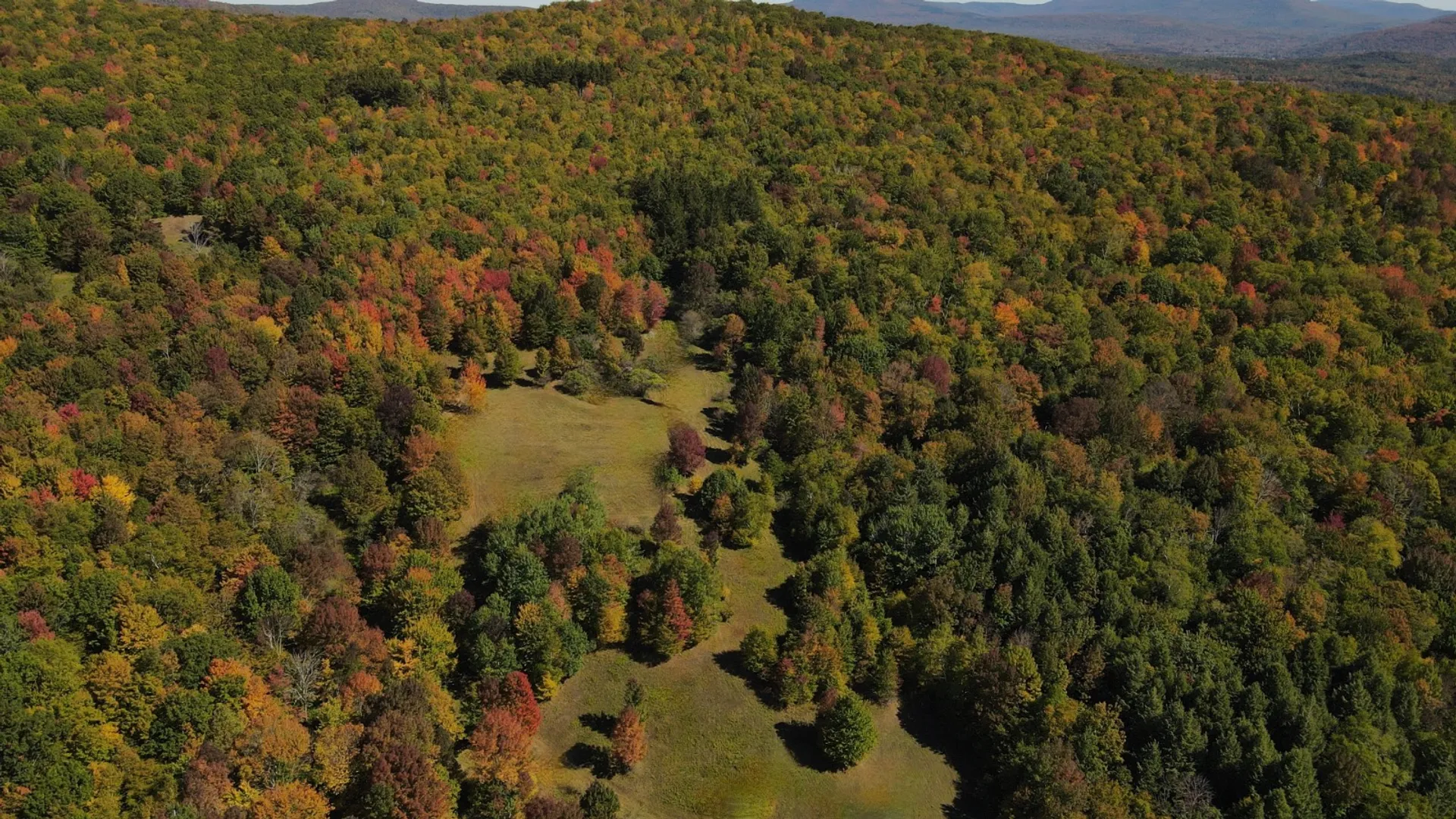Property at 393 B G Partridge Rd, Windham, NY 12496 33