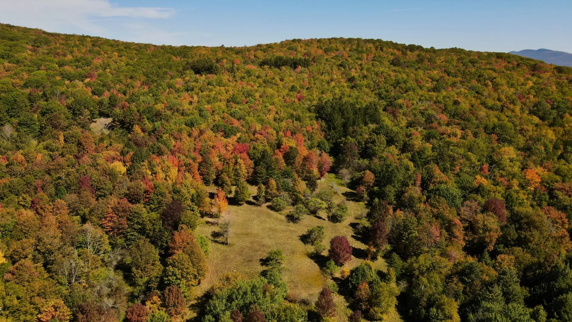 Property at 393 B G Partridge Rd, Windham, NY 12496 5