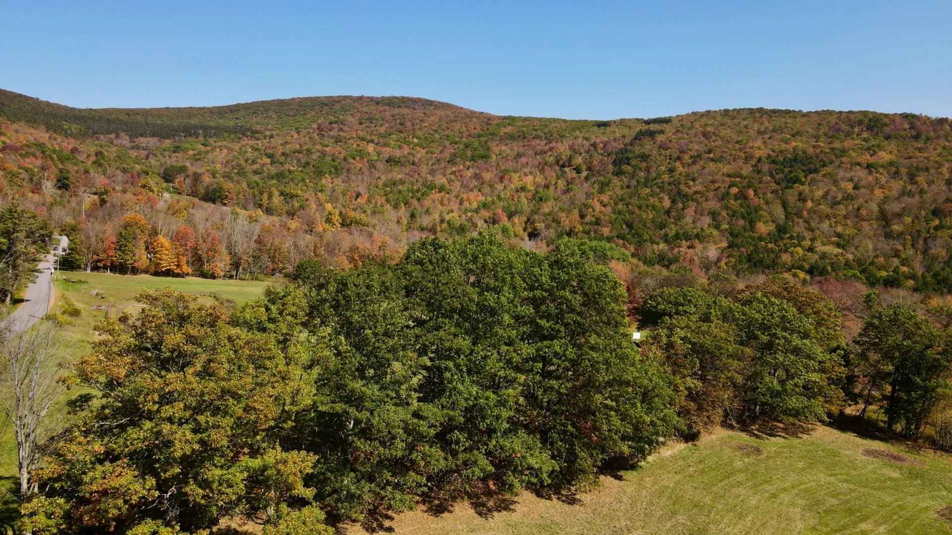 Property at 393 B G Partridge Rd, Windham, NY 12496 45