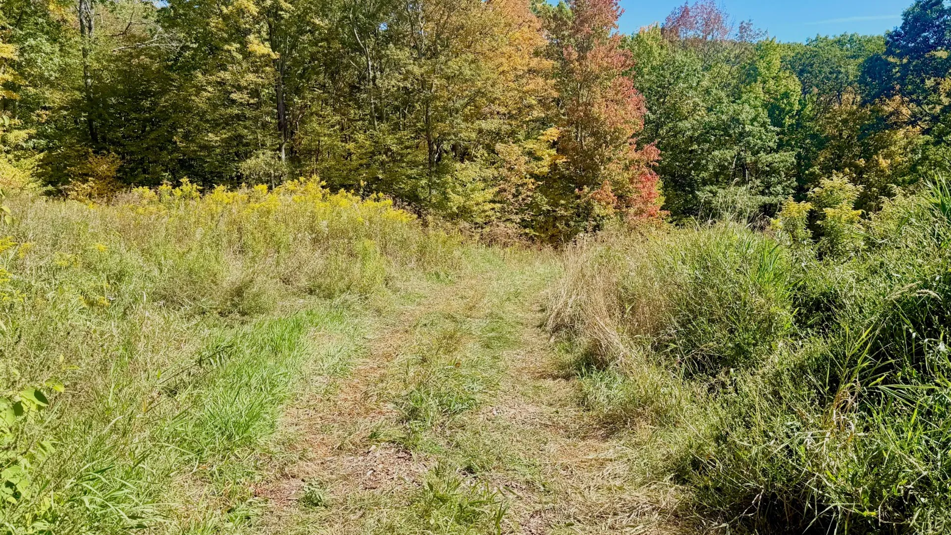 Property at 393 B G Partridge Rd, Windham, NY 12496 7