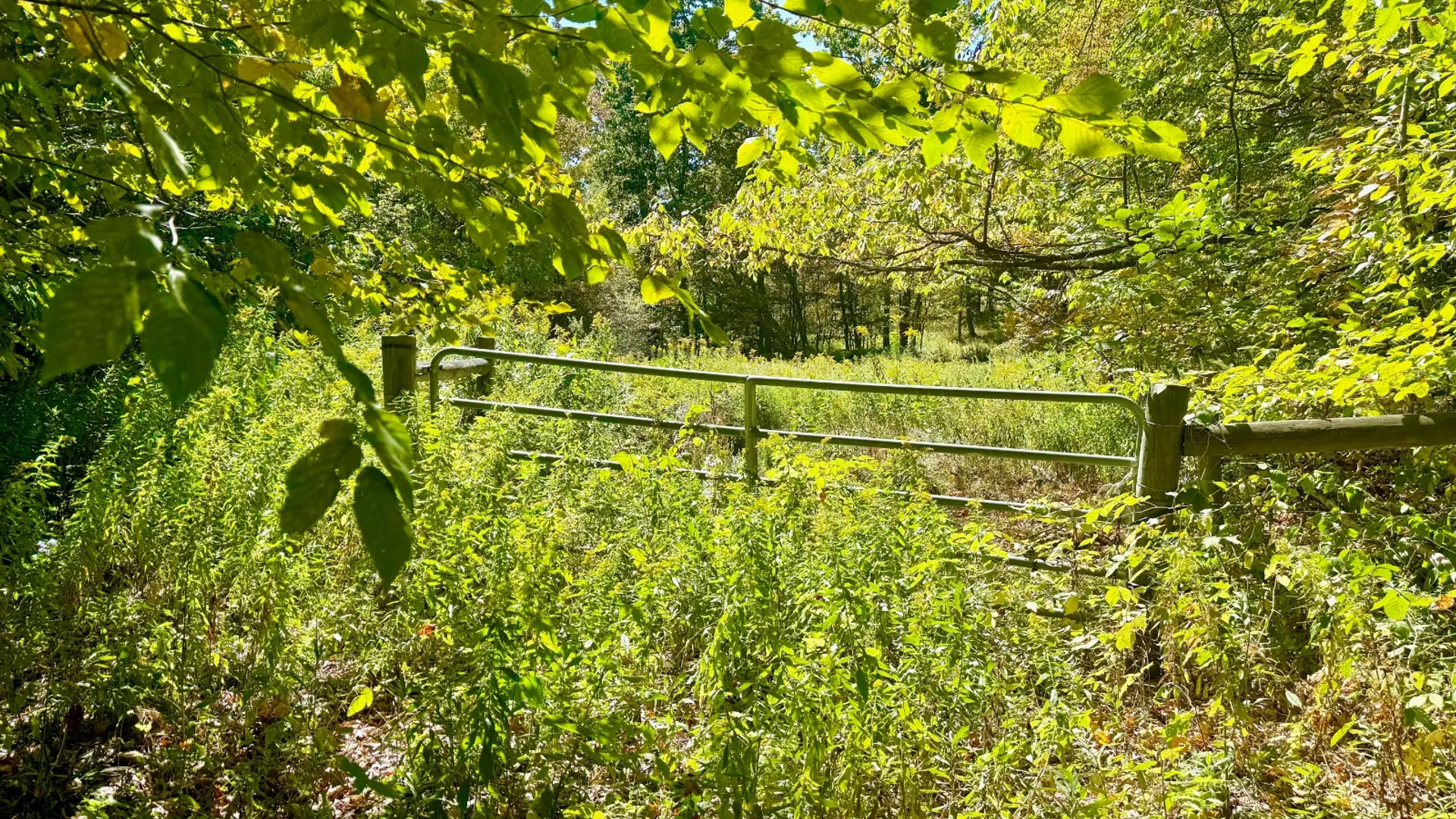 Property at 393 B G Partridge Rd, Windham, NY 12496 8