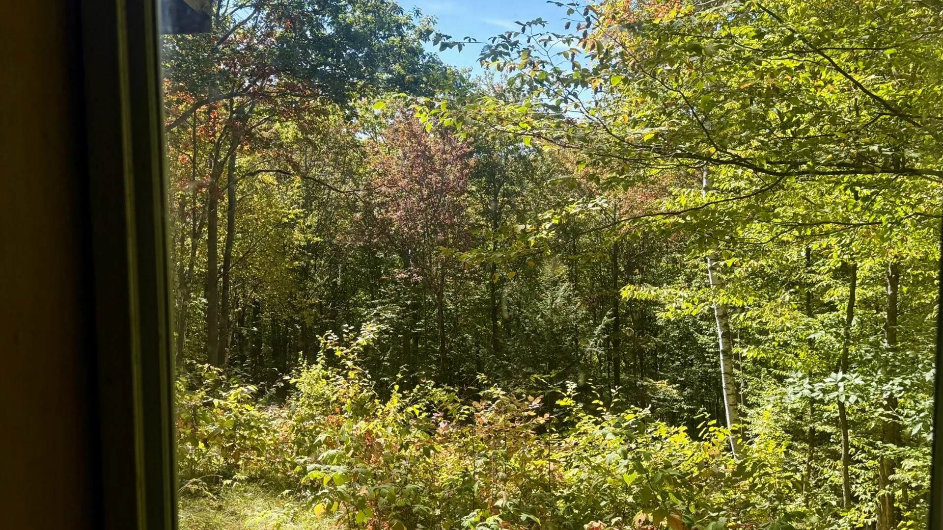 Property at 393 B G Partridge Rd, Windham, NY 12496 19