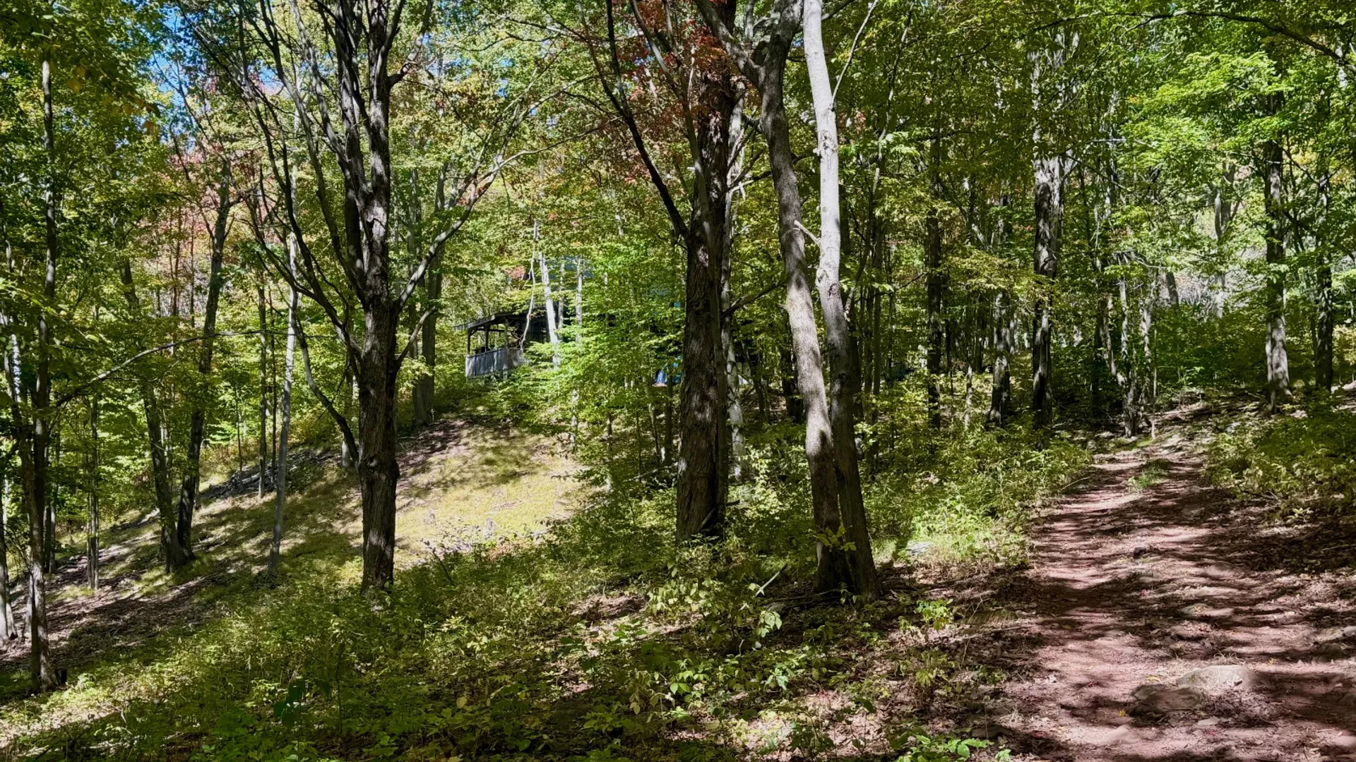 Property at 393 B G Partridge Rd, Windham, NY 12496 12
