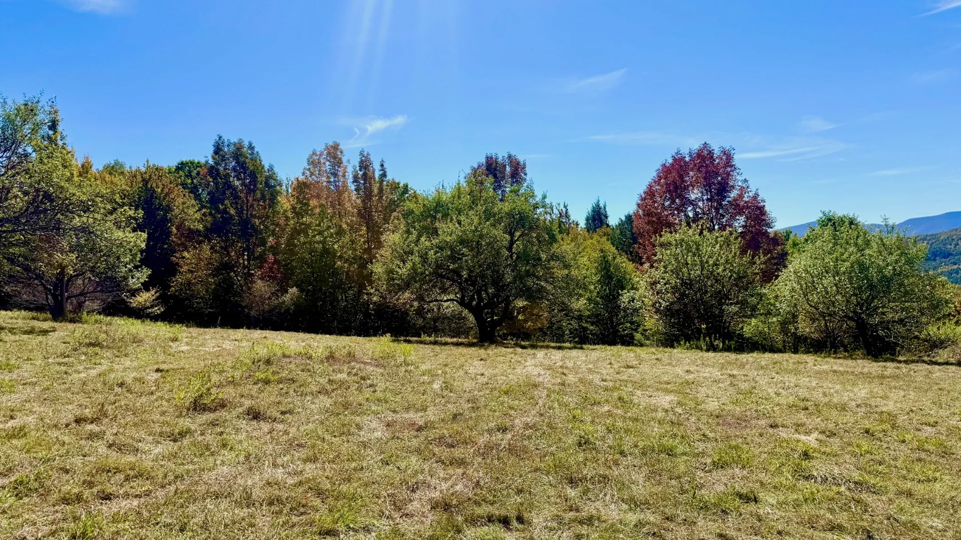 Property at 393 B G Partridge Rd, Windham, NY 12496 26