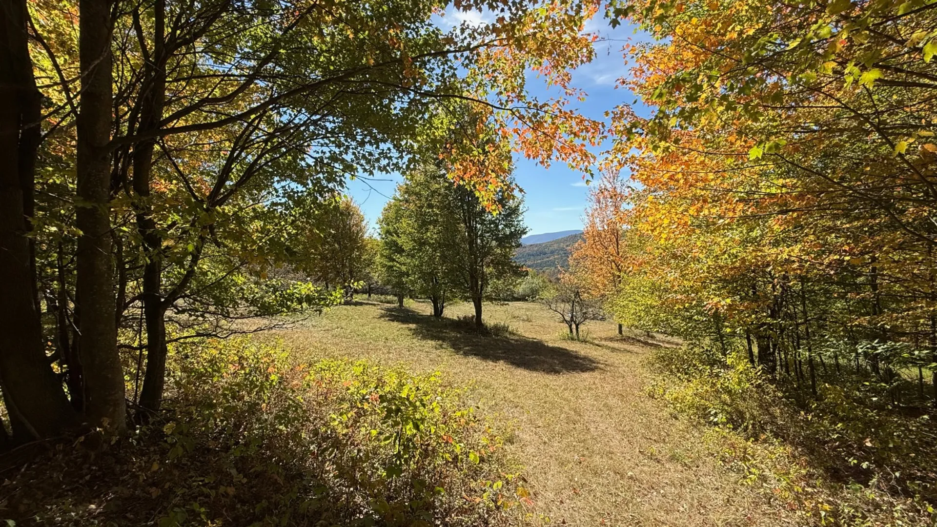 Property at 393 B G Partridge Rd, Windham, NY 12496 22