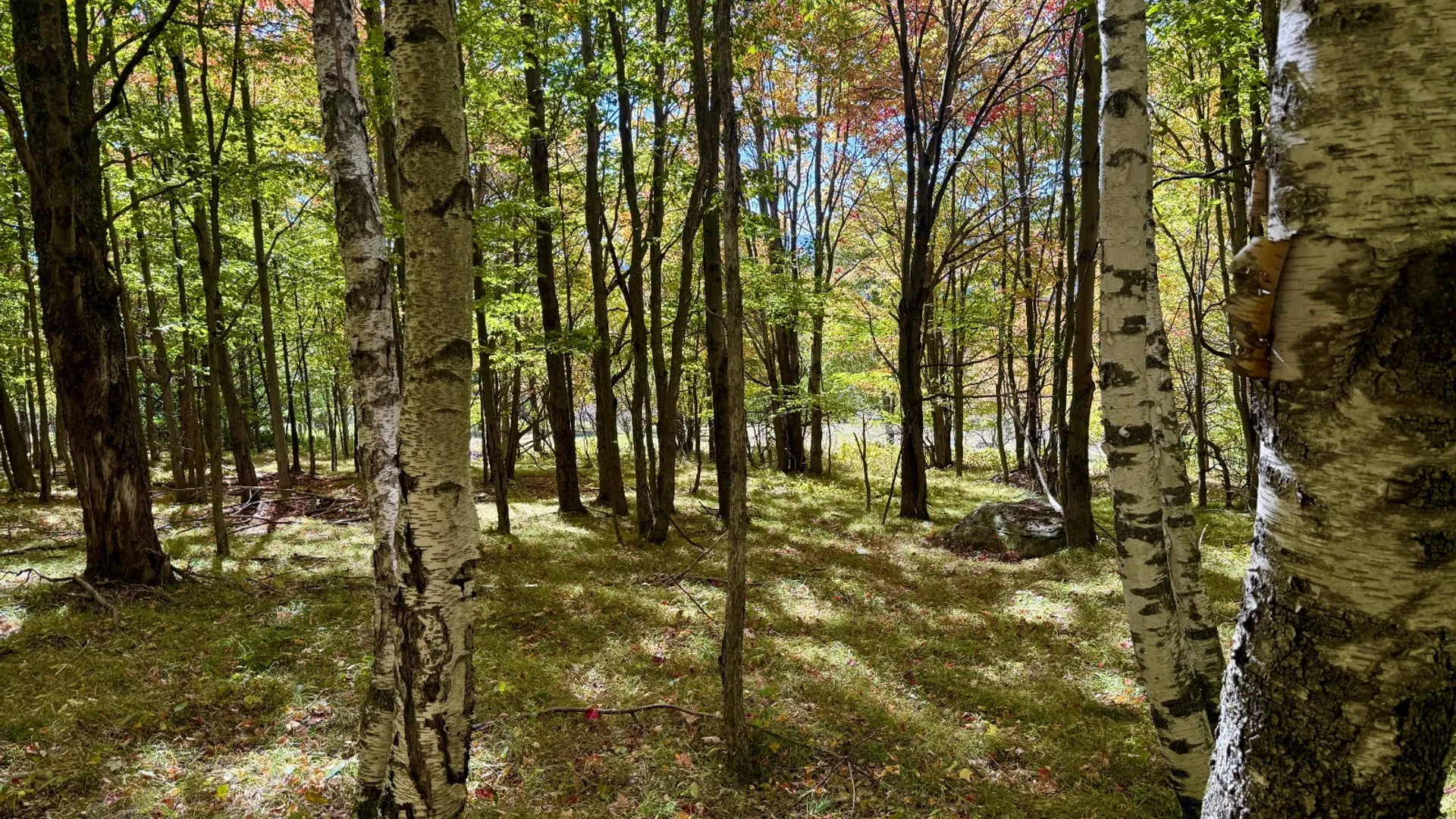 Property at 393 B G Partridge Rd, Windham, NY 12496 29
