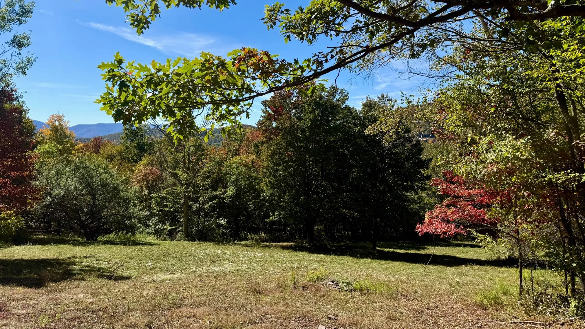 Property at 393 B G Partridge Rd, Windham, NY 12496 31