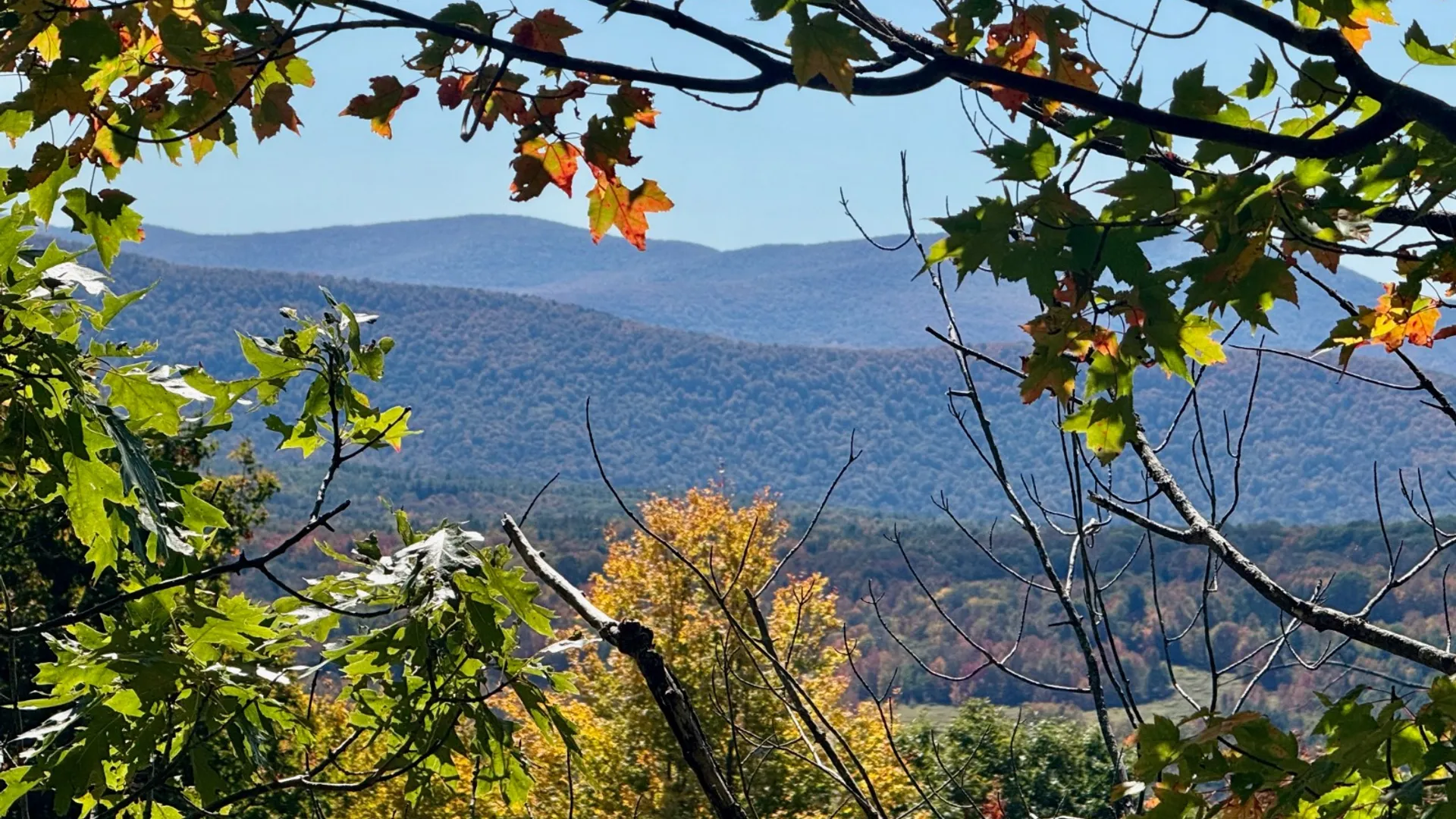 Property at 393 B G Partridge Rd, Windham, NY 12496 32