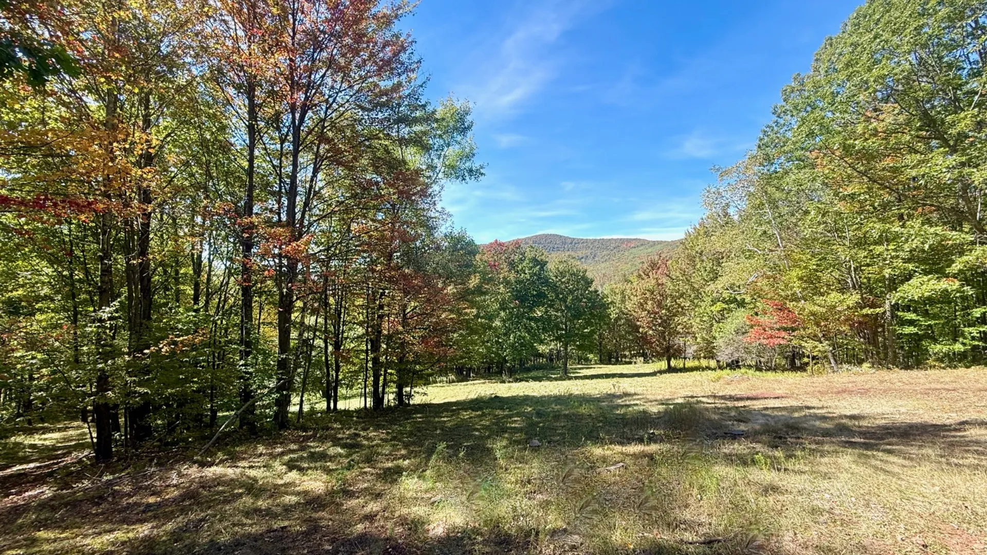 Property at 393 B G Partridge Rd, Windham, NY 12496 24