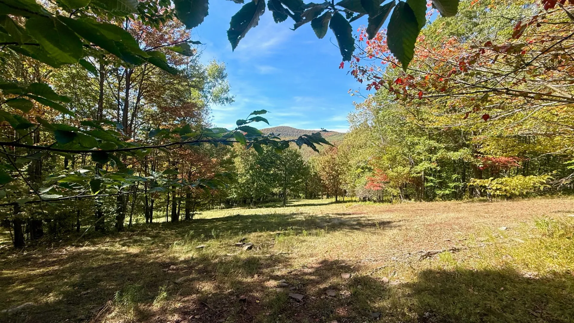 Property at 393 B G Partridge Rd, Windham, NY 12496 23