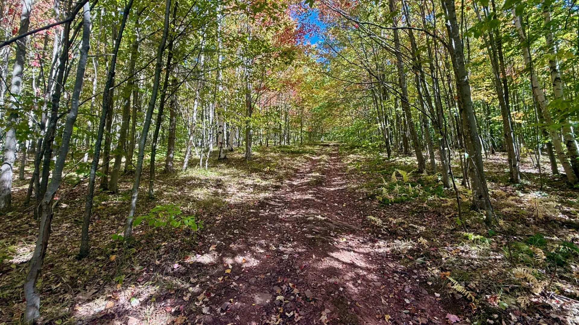 Property at 393 B G Partridge Rd, Windham, NY 12496 38