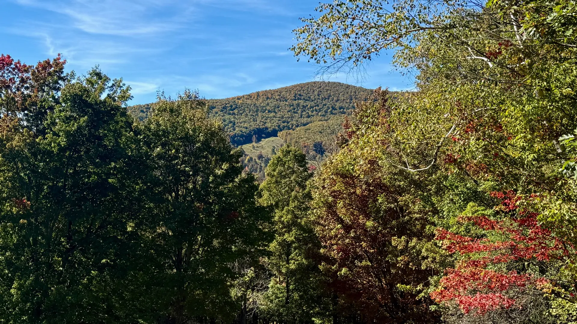 Property at 393 B G Partridge Rd, Windham, NY 12496 42