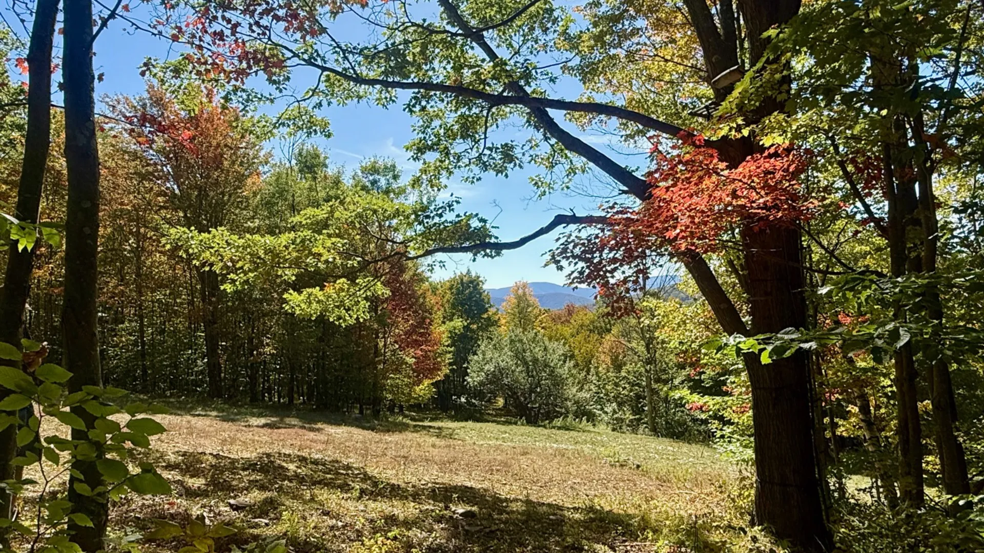 Property at 393 B G Partridge Rd, Windham, NY 12496 28