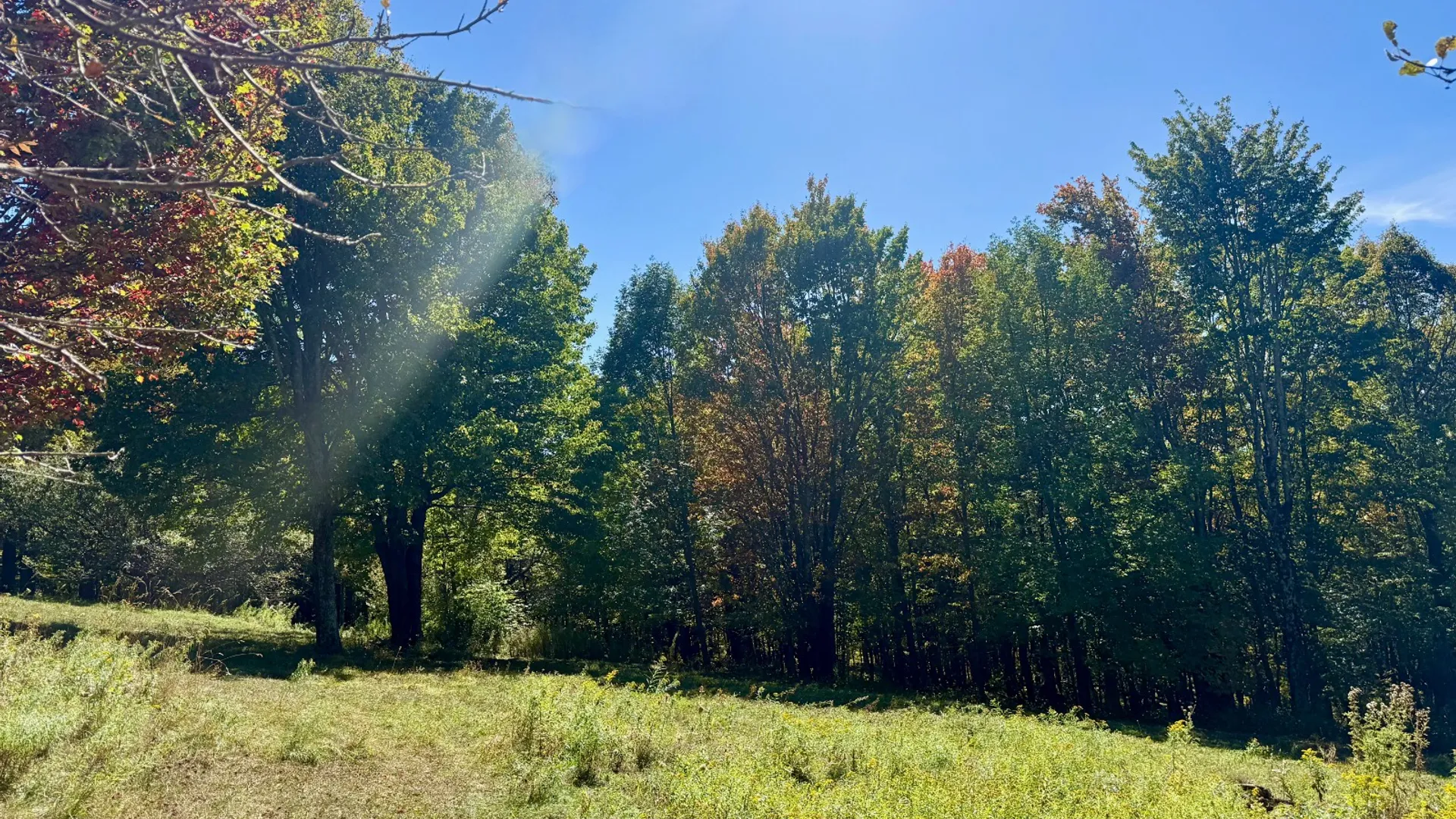 Property at 393 B G Partridge Rd, Windham, NY 12496 36
