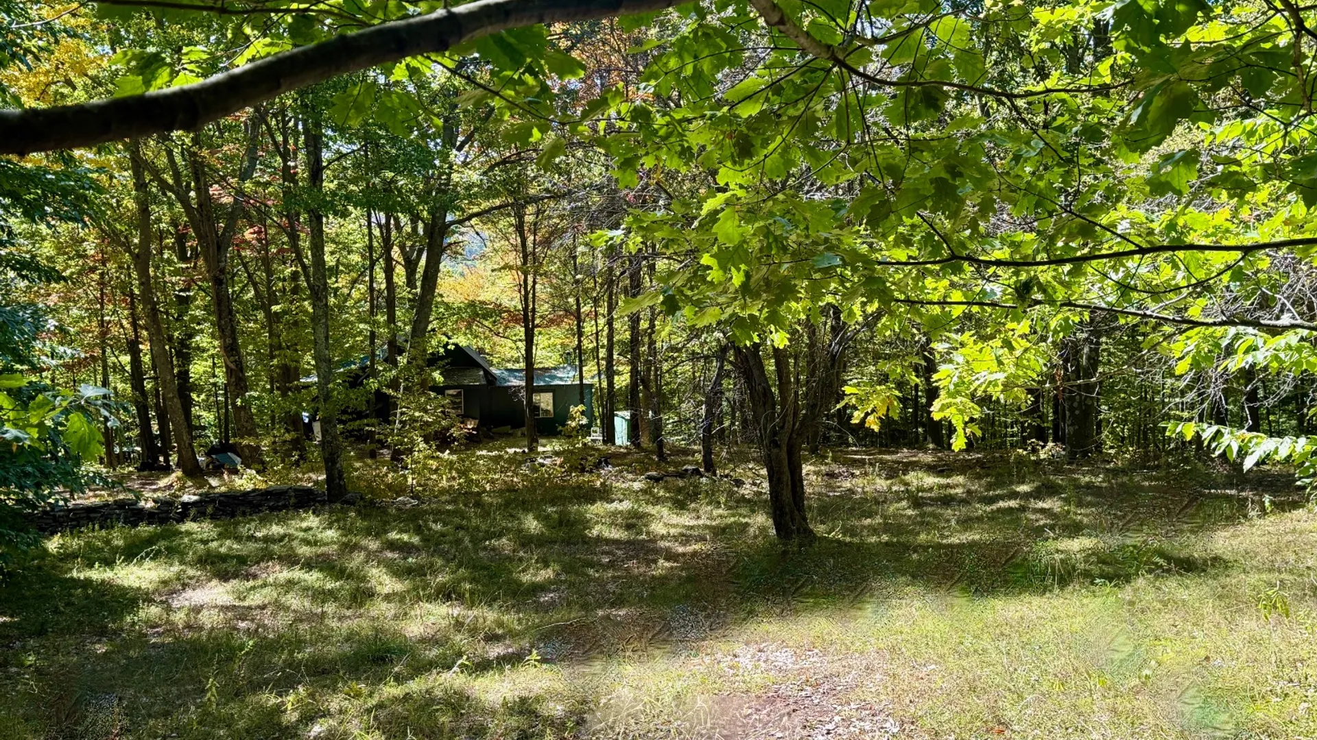 Property at 393 B G Partridge Rd, Windham, NY 12496 39