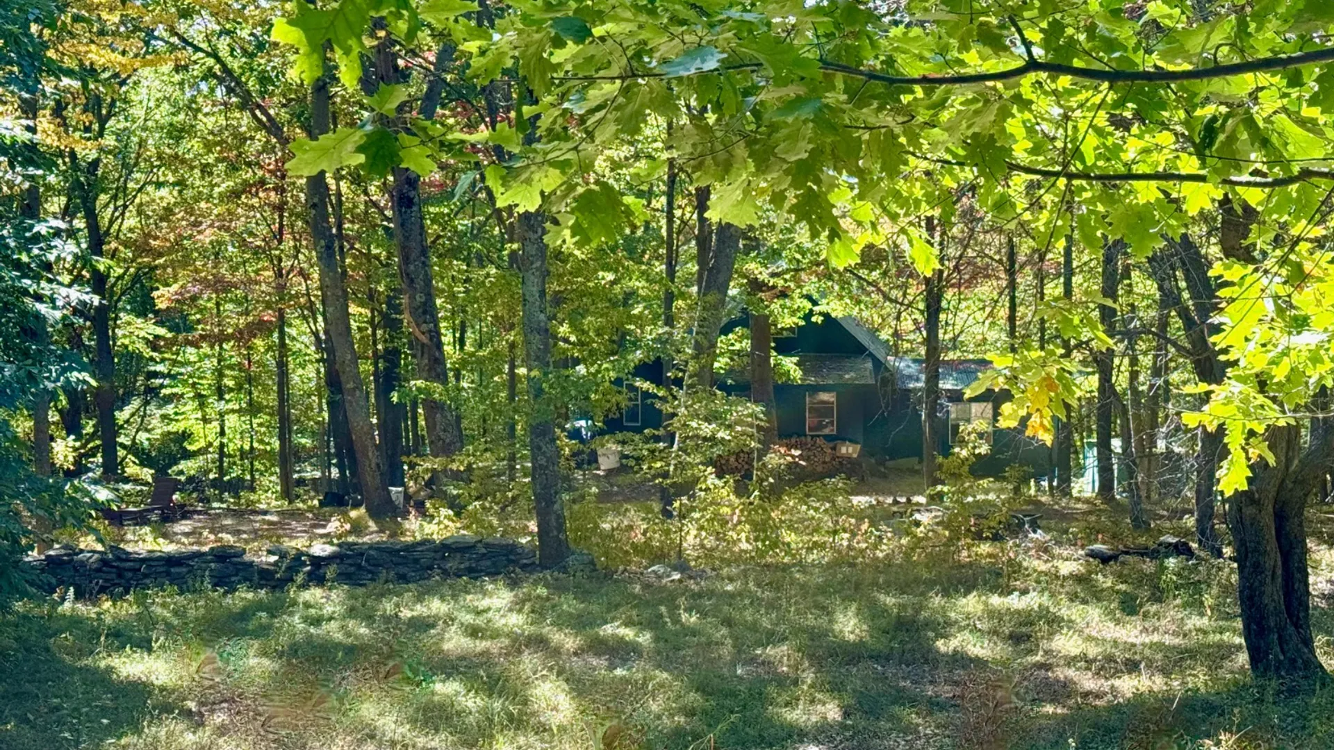 Property at 393 B G Partridge Rd, Windham, NY 12496 13