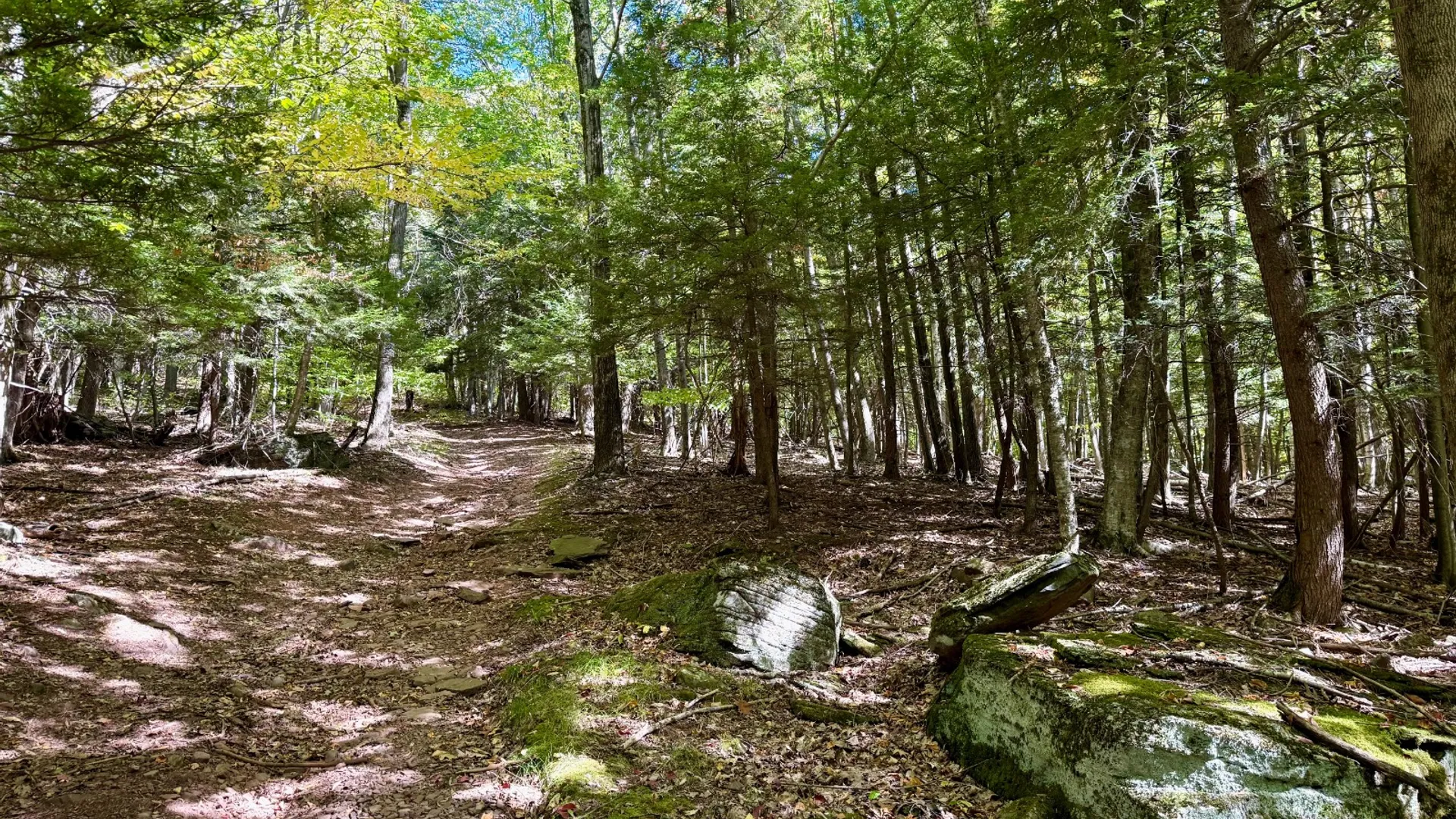Property at 393 B G Partridge Rd, Windham, NY 12496 10