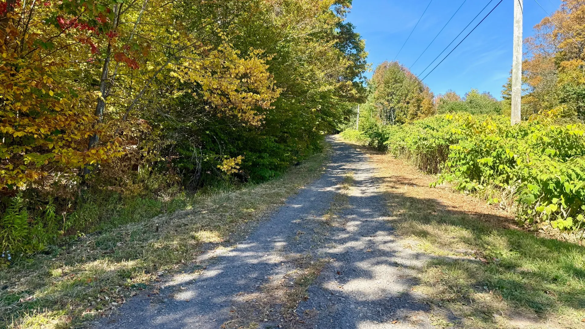 Property at 393 B G Partridge Rd, Windham, NY 12496 6