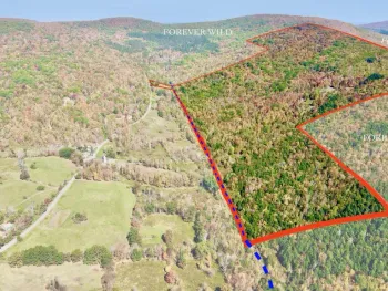 Property at 393 B G Partridge Rd, Windham, NY 12496