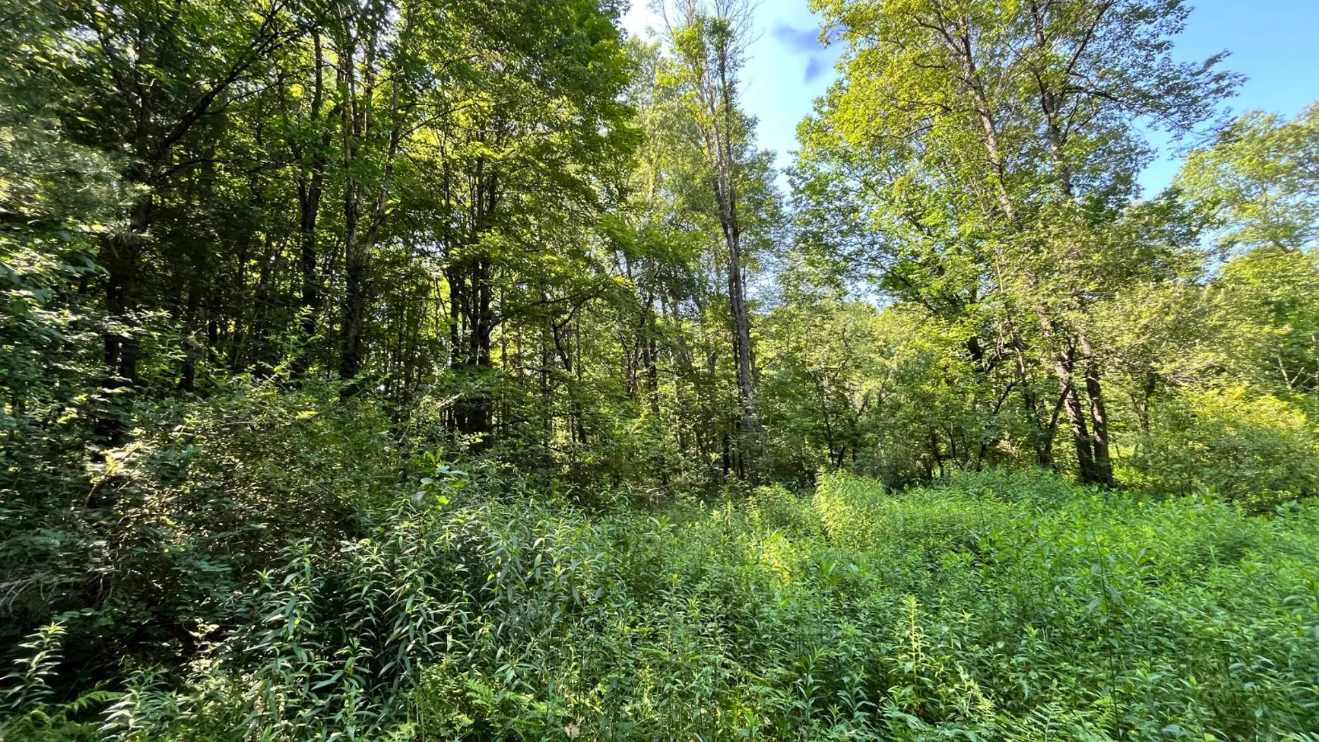 Property at 357 Cable Rd, Williamstown, NY 13493 44