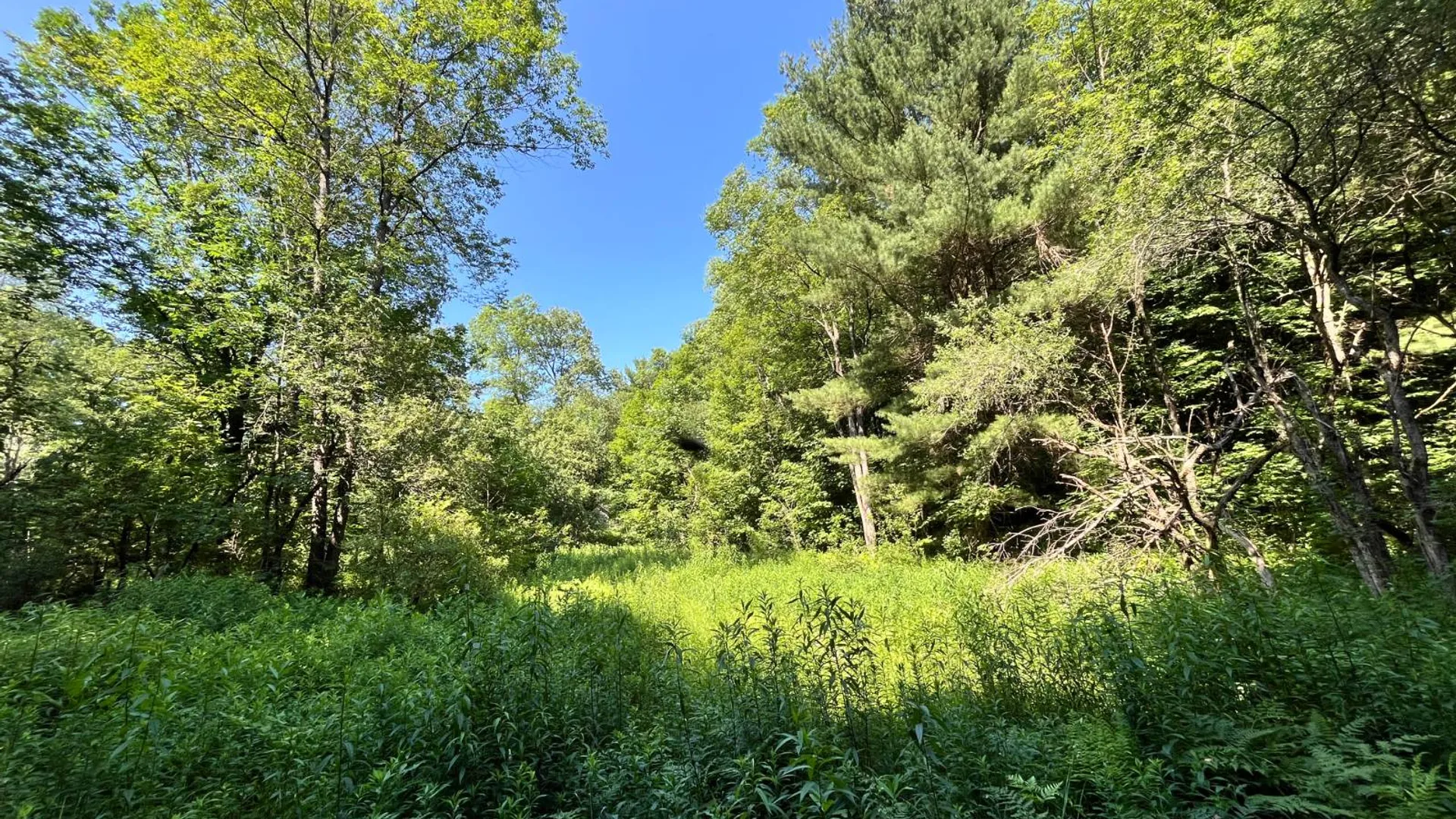 Property at 357 Cable Rd, Williamstown, NY 13493 45