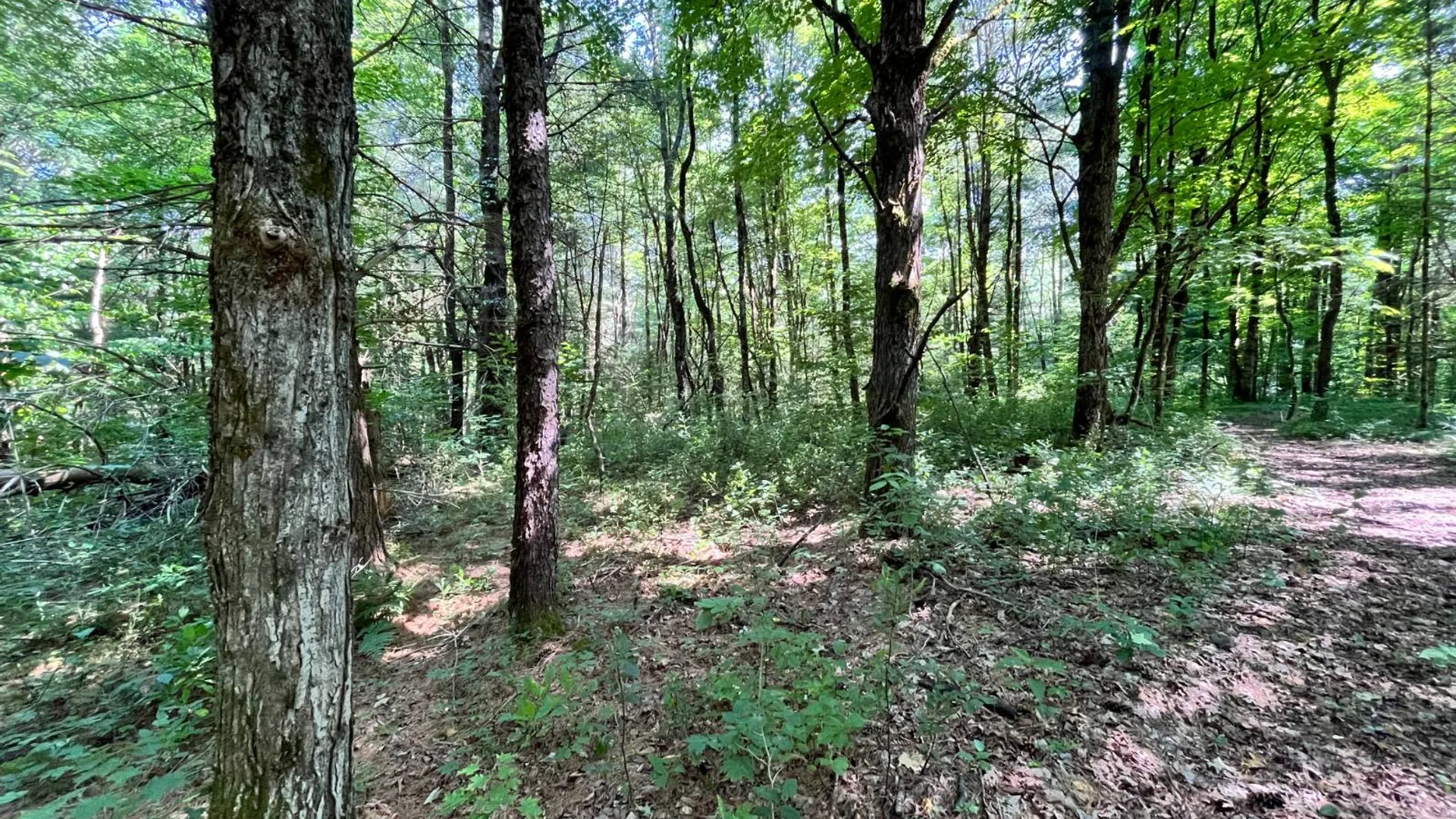 Property at 357 Cable Rd, Williamstown, NY 13493 47