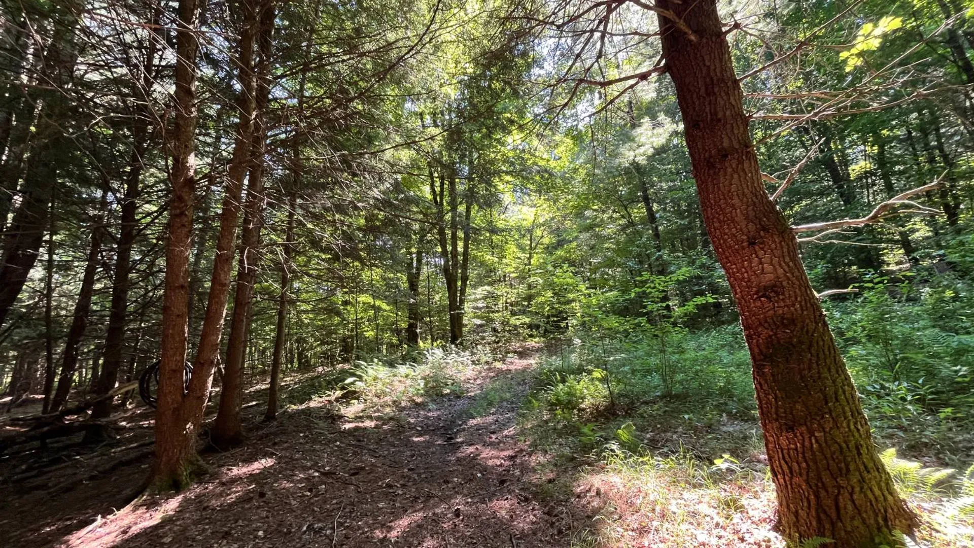 Property at 357 Cable Rd, Williamstown, NY 13493 57