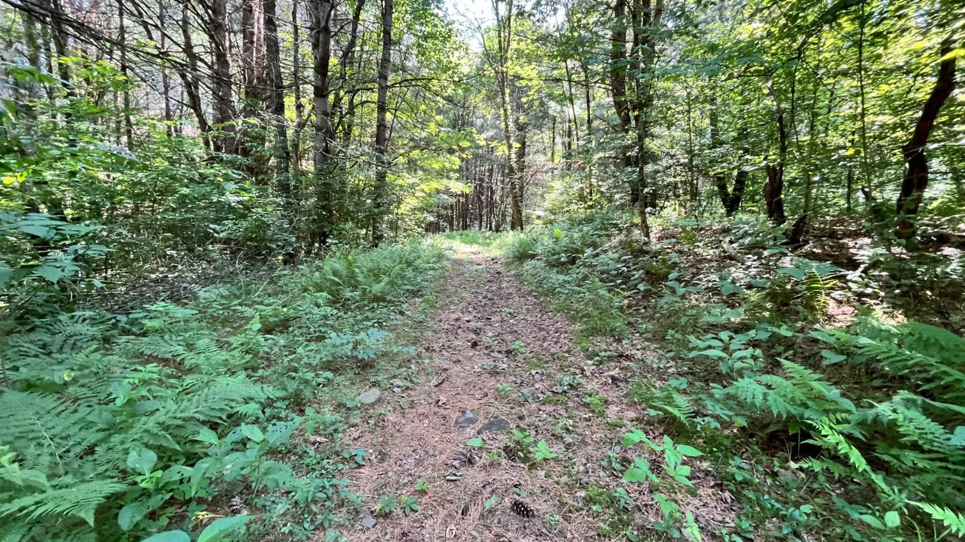 Property at 357 Cable Rd, Williamstown, NY 13493 58