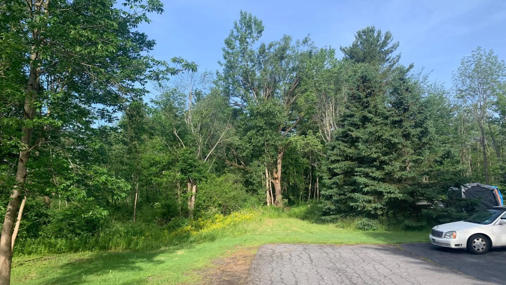 Property at 00 Lorraine Blvd, Amsterdam, NY 12010 4