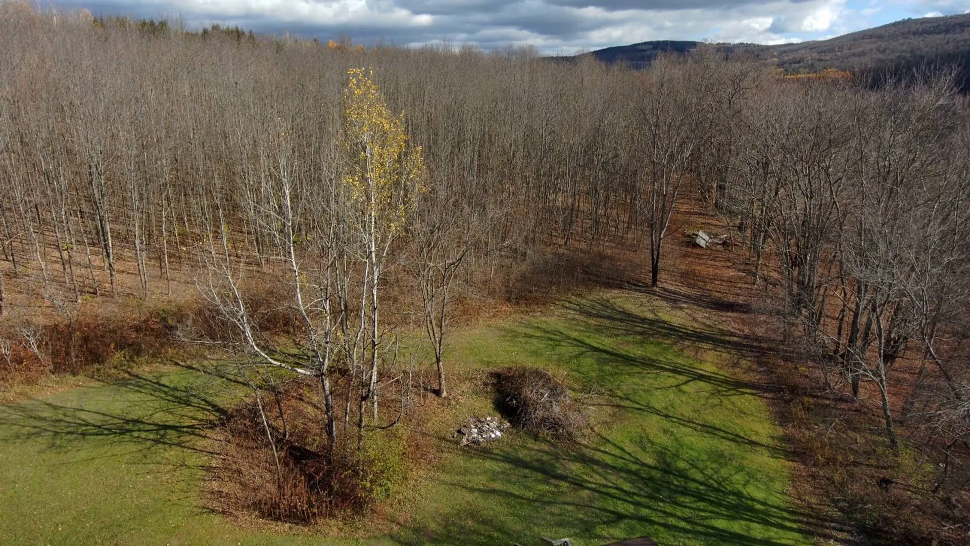 Property at 1099 W Hill Rd, East Worcester, NY 12064 36