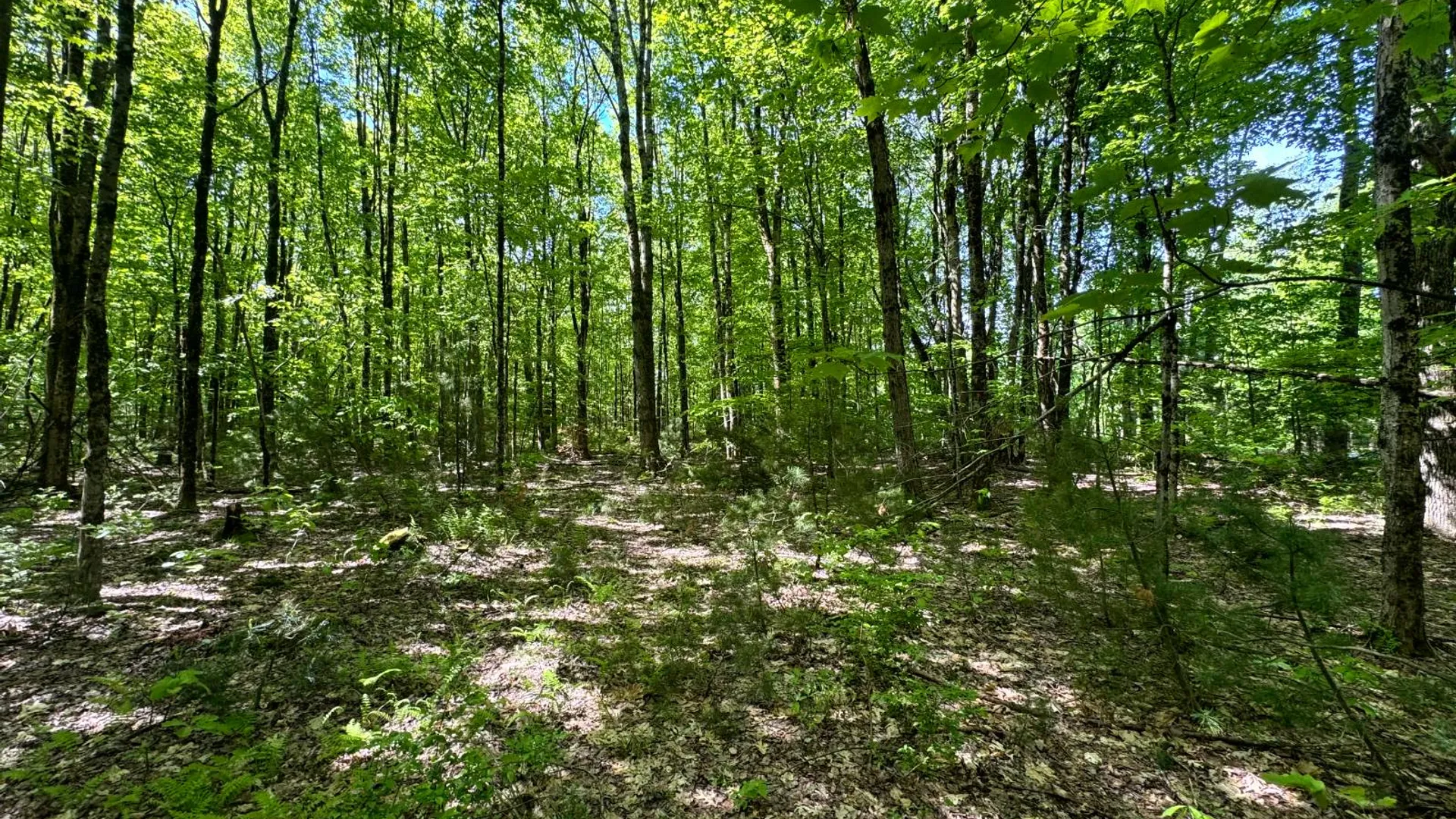 Property at 1.1 Preston Hill Road, Camden, NY 13316 5